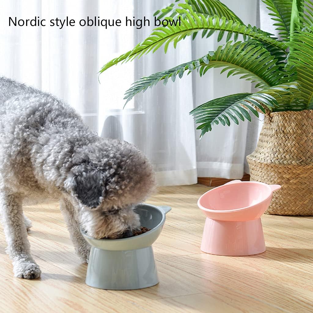 Tilted Raised for Food Bowl Neck for Anti Vomiting 45 Degree Elevated Slanted Stand Bowls
