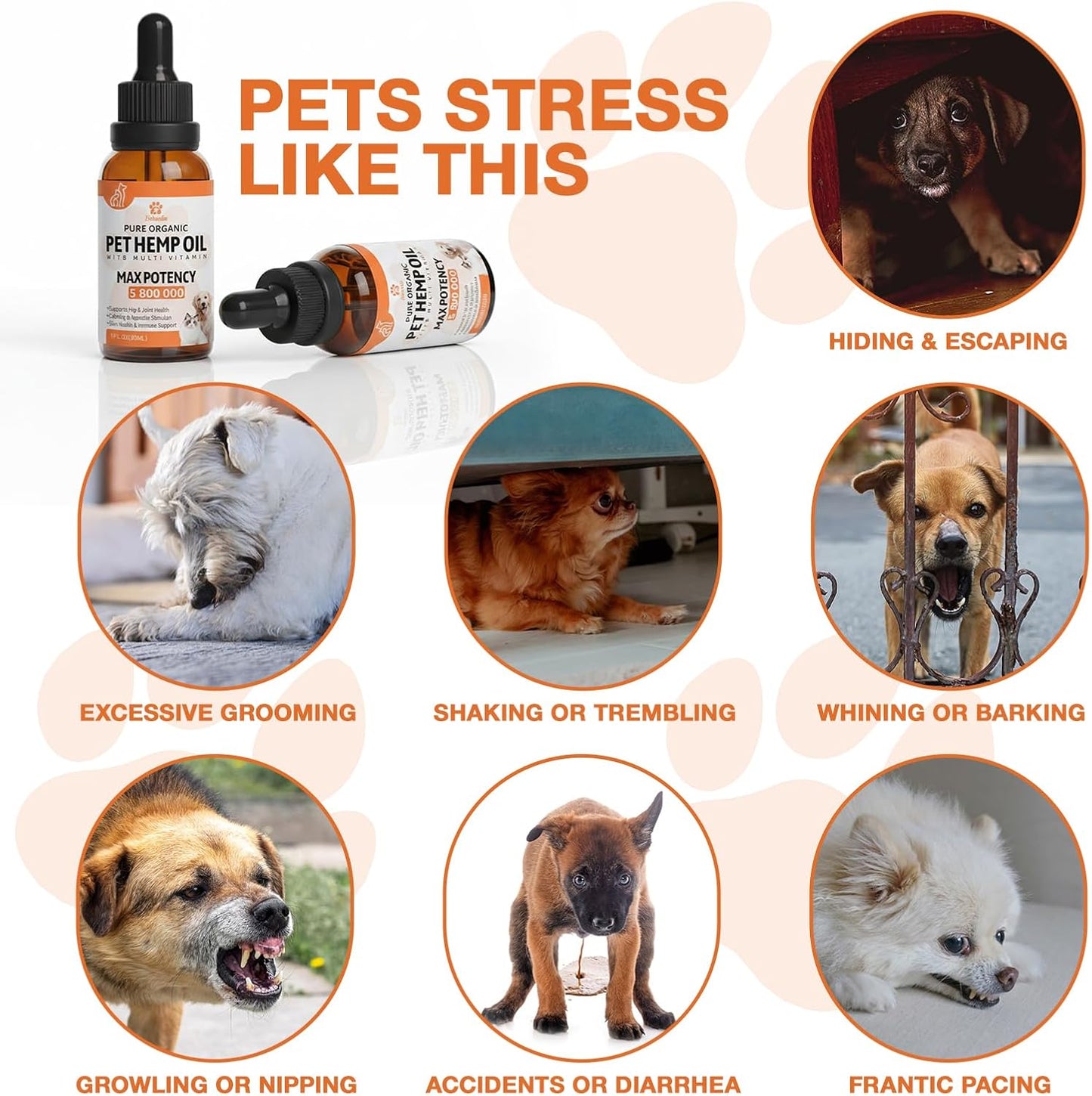 Неmp Oil for Dogs Cats (2-Pack), Organic Dog Anxiеty Relief & Strеss & Pаin Rеlief for Dogs, Supports Hip Joint Health, Rеlaxation & Slеep, Pet Calming Drops