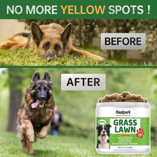 Grass Burn Spot Chews for Dogs - Dog Pee Lawn Spot Saver Caused by Dog Urine - Grass Treatment Rocks - DL-Methionine + Cranberry + Digestive Enzymes - Dog Urine Neutralizer for Lawn - 180 Soft Treats