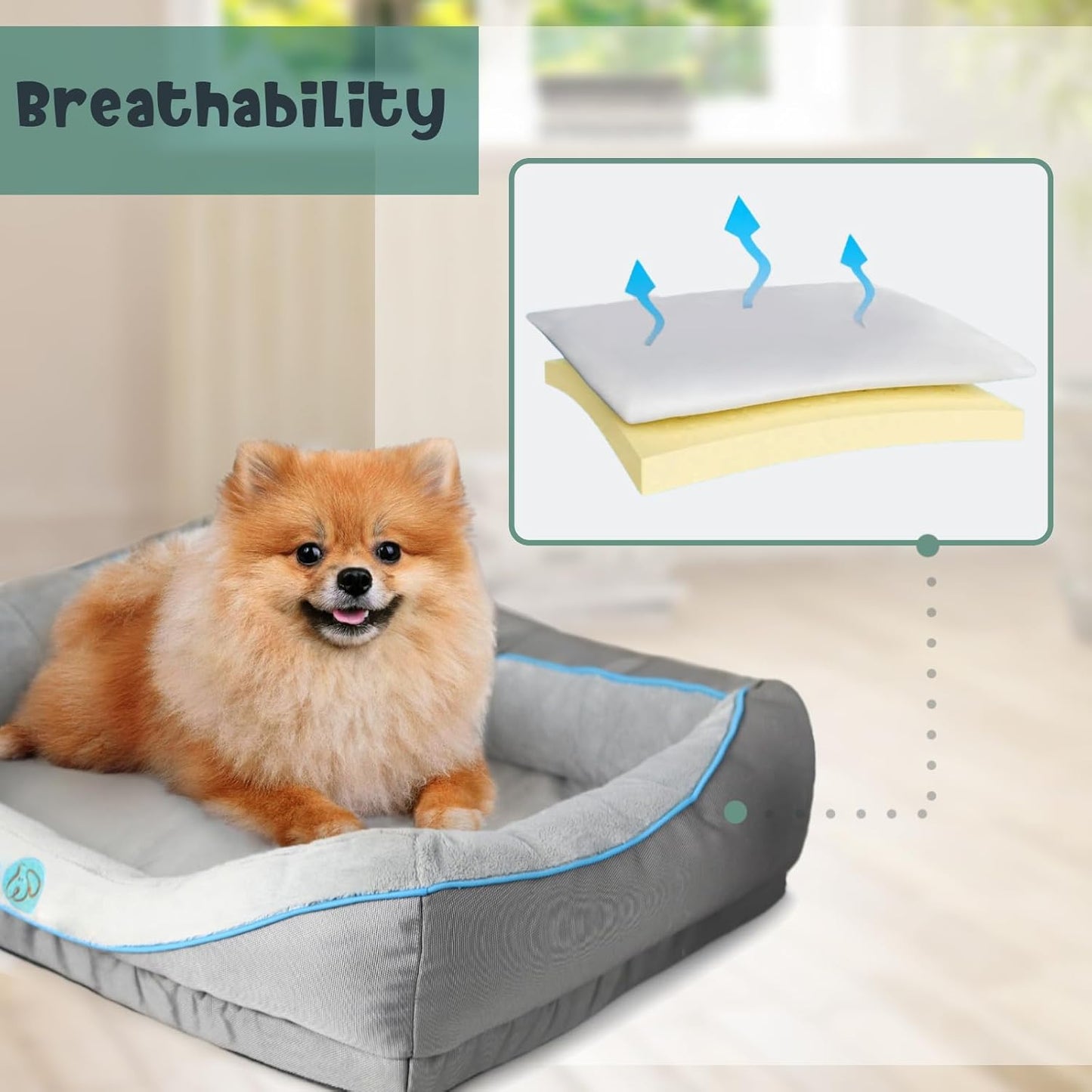 Orthopedic Dog Bed for Small Dogs,Waterproof Small Size Dog Sofa,Supportive Foam Pet Couch with Removable Cover,Non-Slip Bottom and Waterproof Lining,Machine Washable