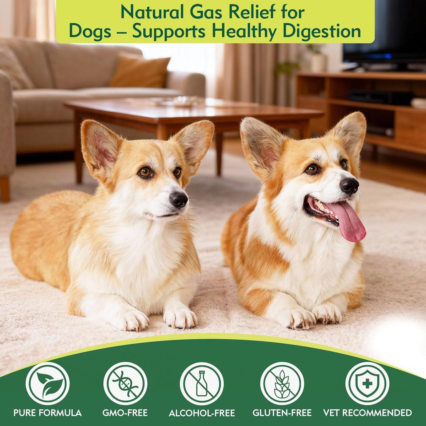 Dog Gas Relief, Relief Smelly Farts with 4B CFU Pediococcus Acidilactici Probiotics, Digestive Enzymes, Dog Fart Remedy to Help Gas & Bloating, Dogs Farts Relief, Dogs Gut Health Digestive Support