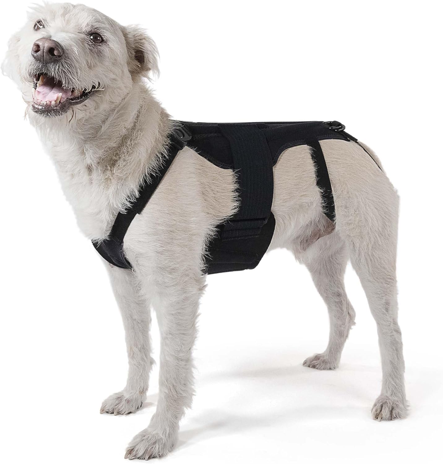 Dog Back Brace with Soothing Heat Warmers for IVDD - Pain Relief for Arthritis - Spinal Surgical Recovery - Herniated & Slipped Disc - Made in USA (Large)