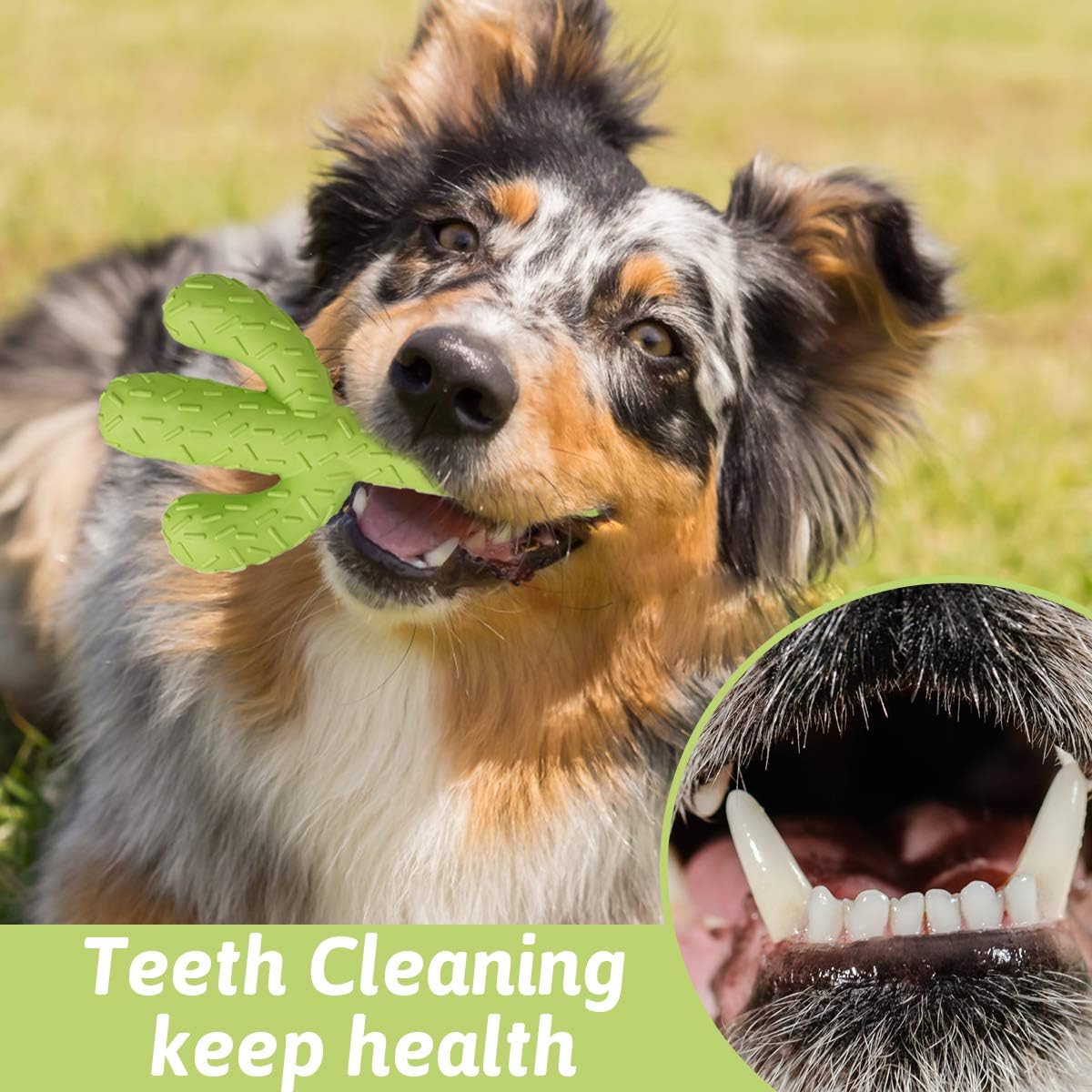 MewaJump Dog Chew Toys, Durable Rubber Dog Toys for Aggressive Chewers, Cactus Tough Toys for Training and Cleaning Teeth, Interactive Dog Toys for Medium/Large Dog