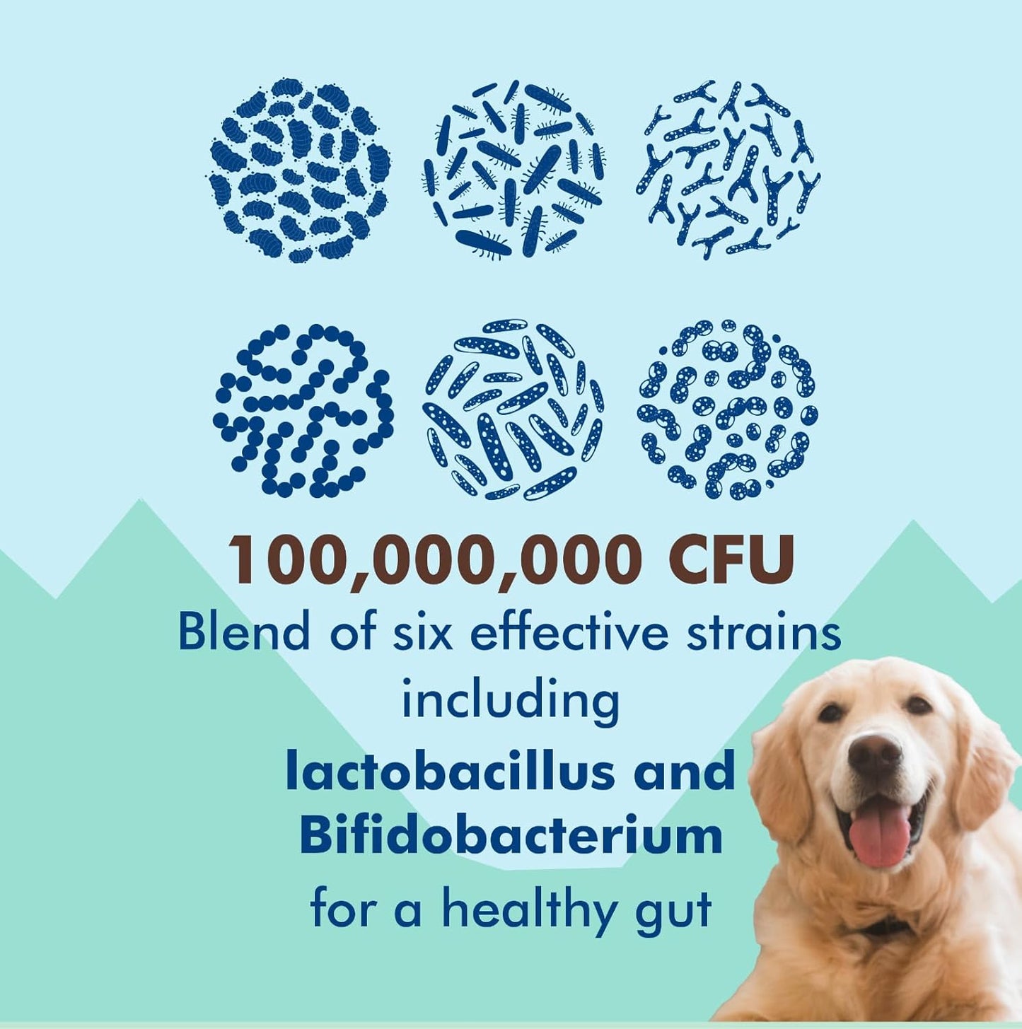 Little Shepherd Dog Probiotics
