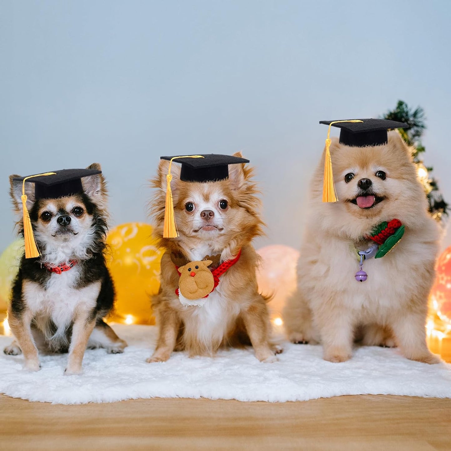 12 Pcs Mini Graduation Cap with Tassel Mini Plush Mason Jar Small Animal Bachelor Hat Photo Prop Party Supply