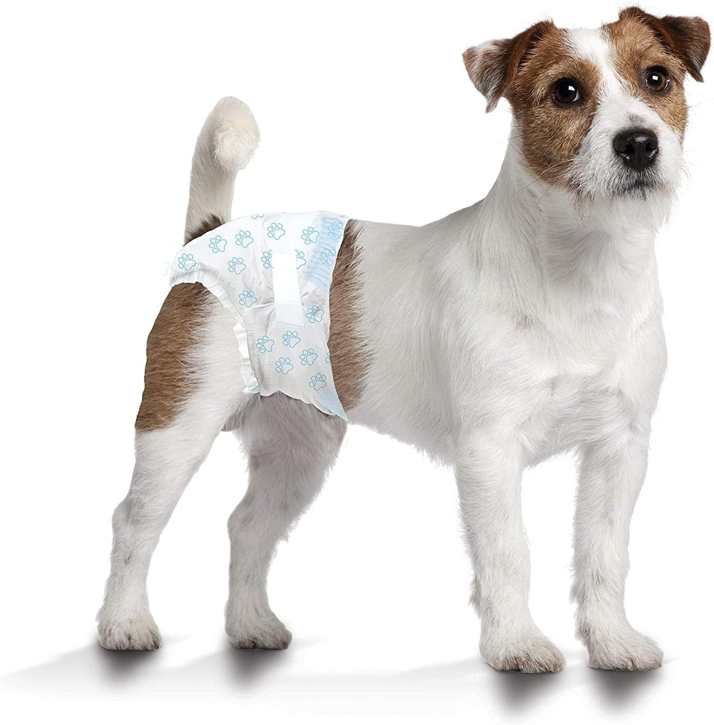 Four Paws Wee-Wee Super Absorbent Disposable Adjustable Dog Potty Training Diapers, Leak-Proof Protection for Dogs, Size Small, 12" - 15" Waist, 12 Count