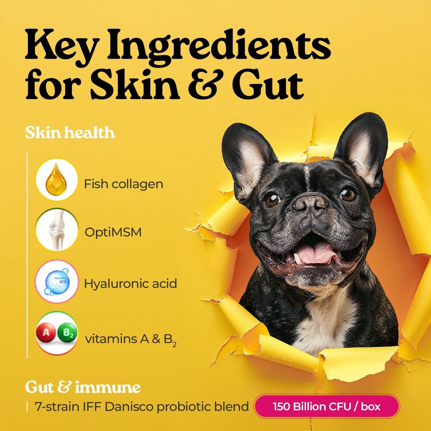 Pawbiotics Skin & Coat Probiotic Sticks for Dogs & Cats, 7-Strain Probiotic with KT-11, Collagen & Hyaluronic Acid, Skin Coat Gut & Immune Support, Blueberry Flavor, 30 Sticks (2.1 oz), Made in Korea