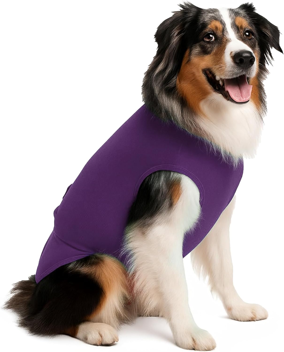 Disposable Dog Diapers Keeper - for Male and Female Dogs - Wrap Around Legs for Superior Fit
