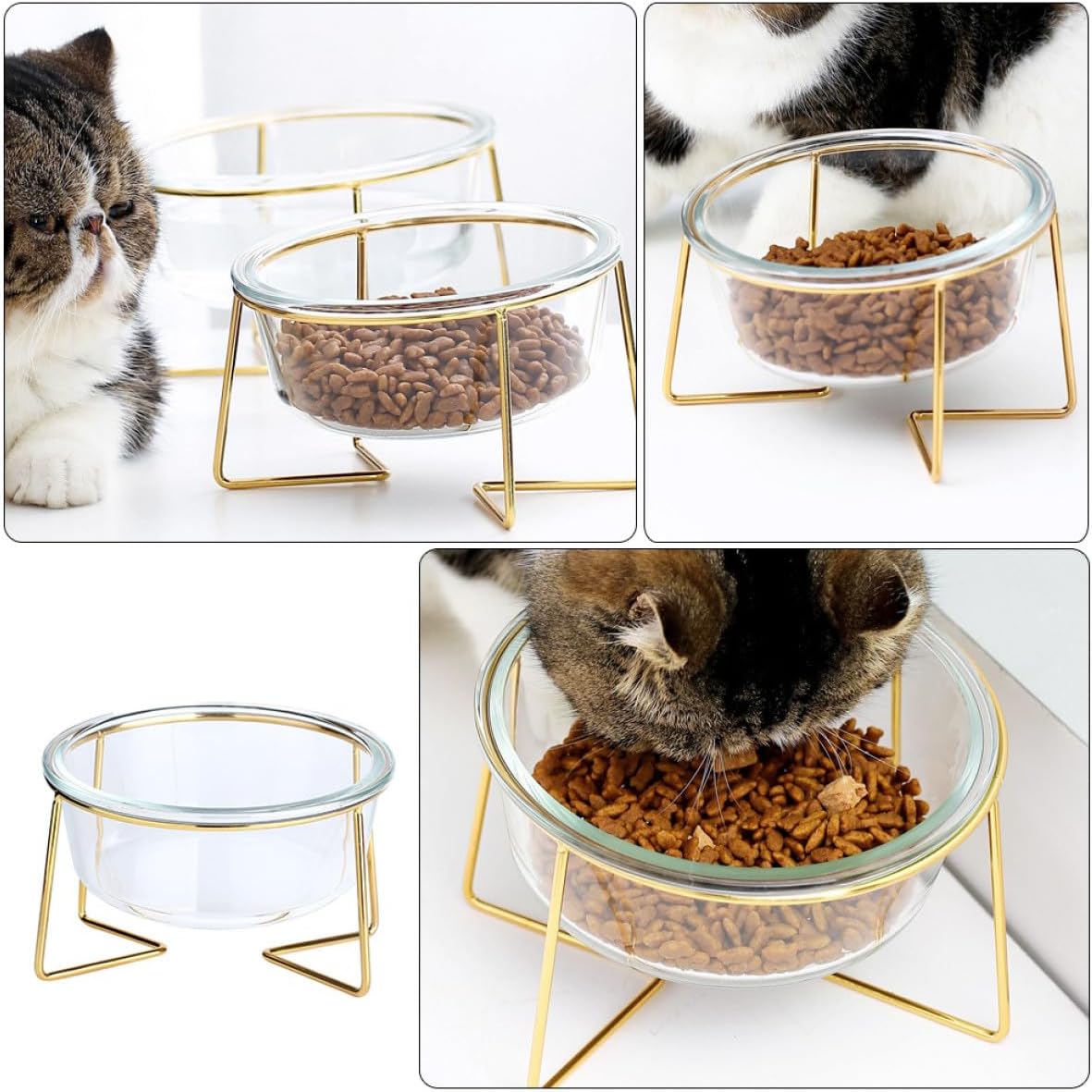 Milisten Oblique Glass Pet Food Bowl 800ml with Raised Metal Stand 17.8cm Tilted Dog Cat Feeder Elevated Feeding Dish for Neck Support and Mess Prevention Random Style