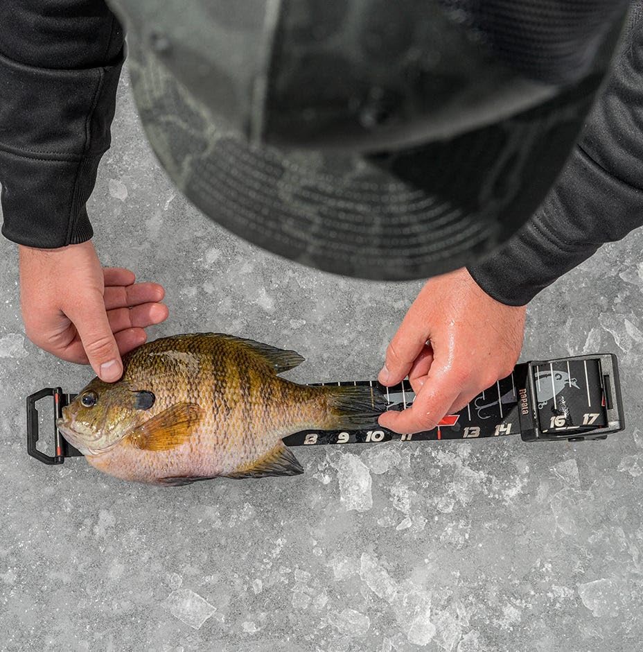 Rapala Retractable Ruler 60", Compact and Durable Measuring Tool for Anglers, Convenient Folding Design with Easy-to-Read Markings for Accurate Fish Measurements