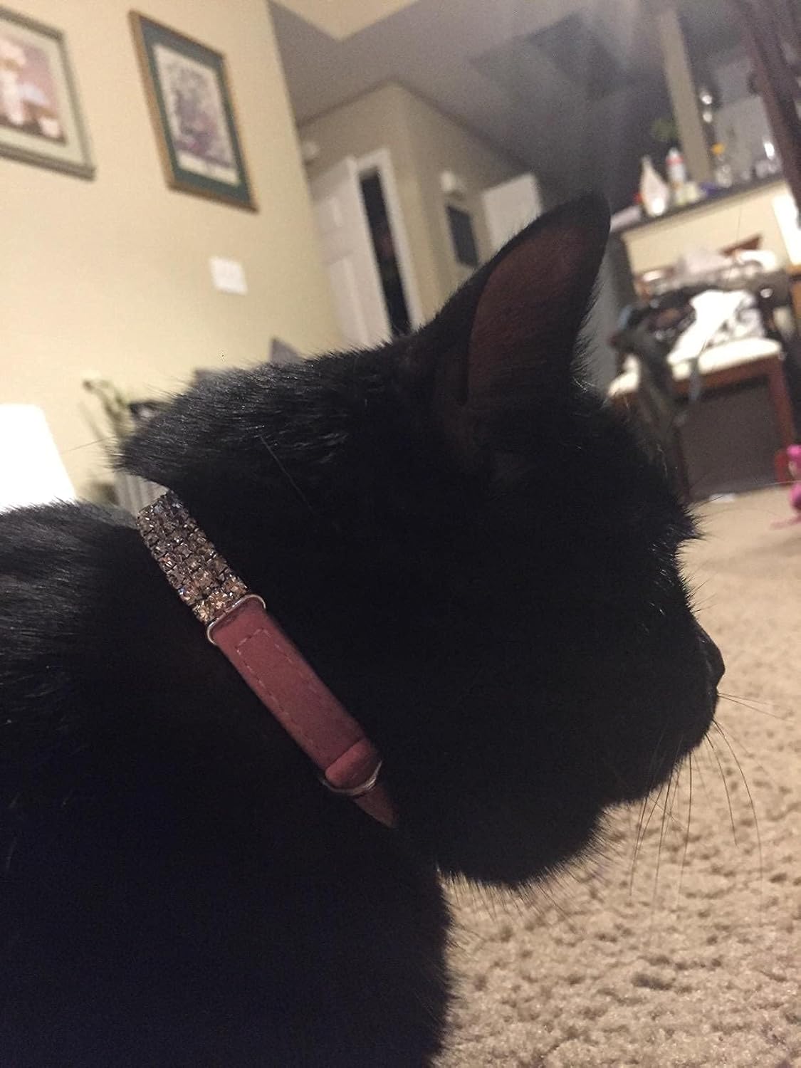 CHUKCHI Soft Velvet Safe Cat Adjustable Collar Bling Diamante with Bells,11 inch for Small Dogs and Cats (Pink)
