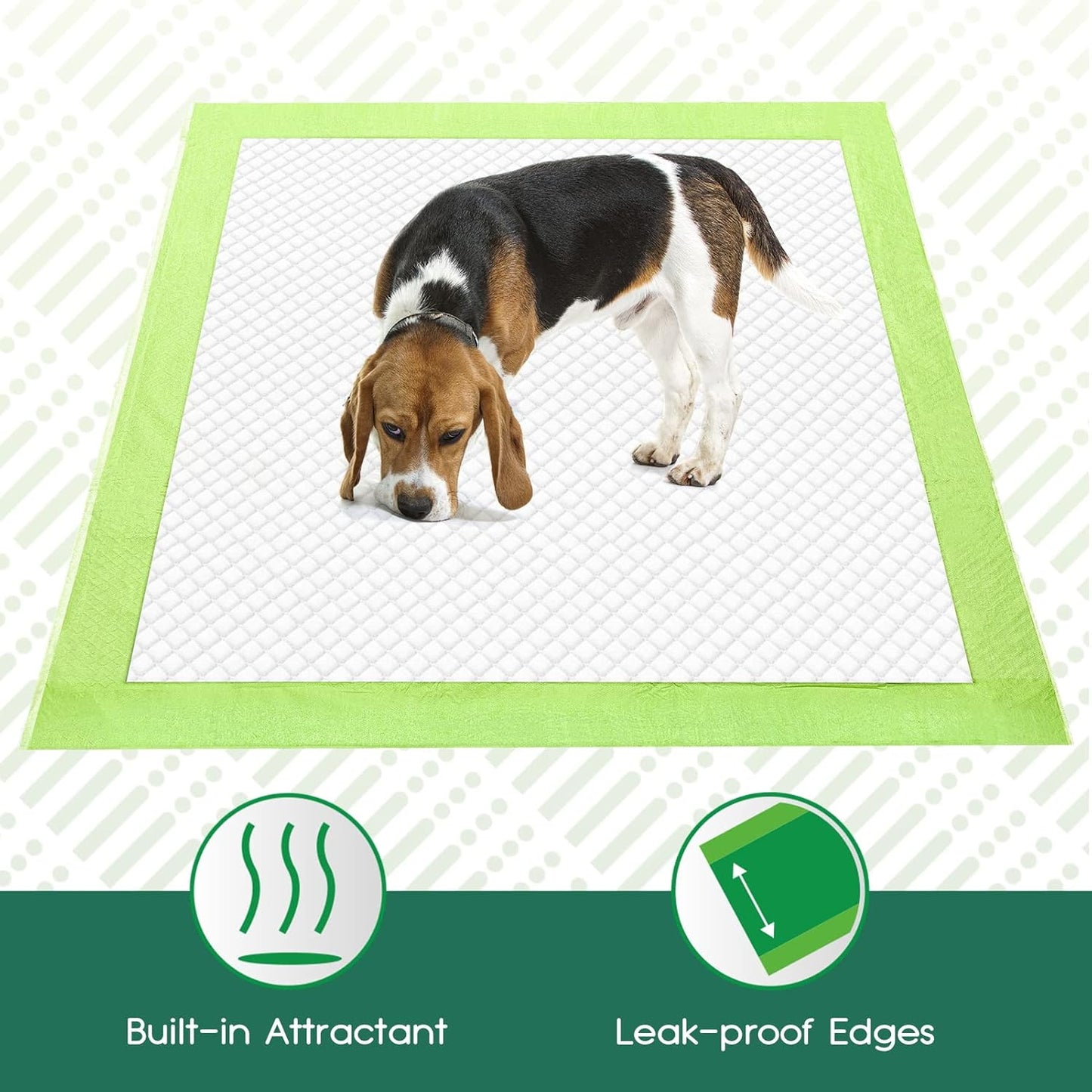 CROCI Puppy Pads 28x34in Green Wee Wee Pads for Dogs , Plant-Based Dogs Pads Extra Large Absorbs Up to 7 Cups of Liquid, 5-Layer Leak-Proof & Quick Drying, Disposable (40 Counts)