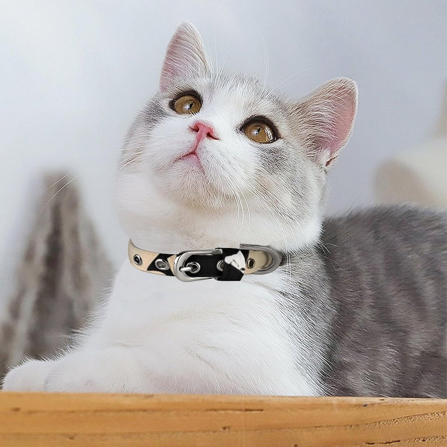 Devil Satan Dog Collar with Buckle Adjustable Martingale Pet Collars Cute Female Male Puppy Collar Soft Waterproof Cat Collars for Small Medium Dogs