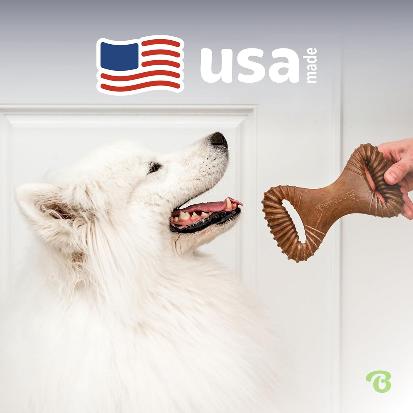 Benebone Dental Durable Dog Chew Toy for Aggressive Chewers, Real Peanut, Made in USA, Large