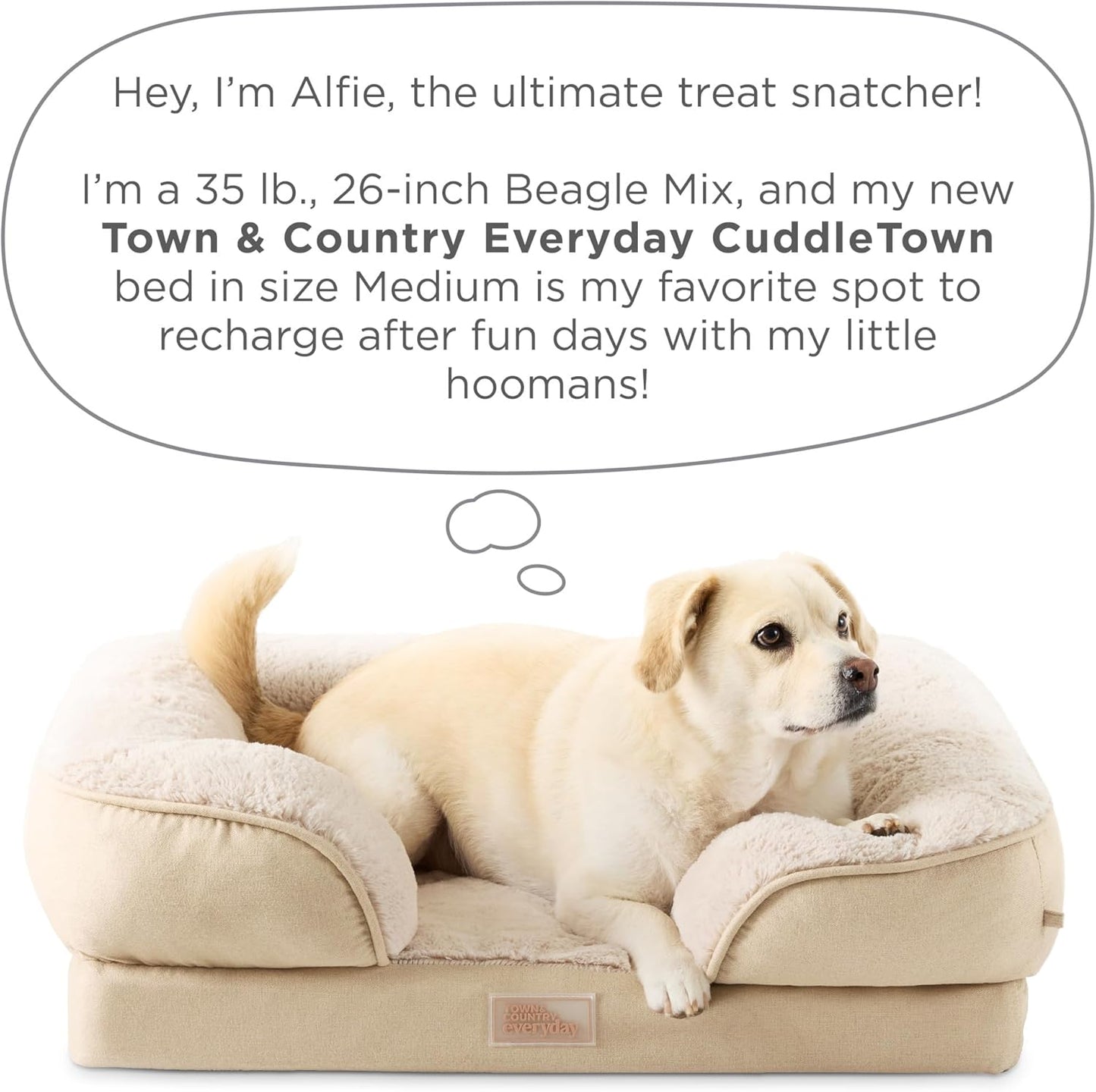 Town & Country Everyday CuddleTown 편안한 솔리드 볼스터 소파 반려동물 침대, 지지력 및 진정 계란 상자 폼, 미끄럼 방지 바닥, 세탁기 세탁 가능한 커버, 그레이, 미디엄 71.1cm x 58.4cm x 20.3cm(28x23x8인치)