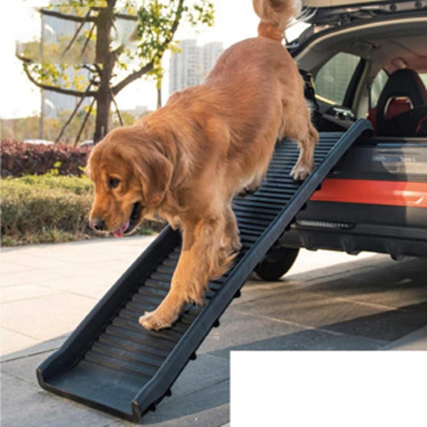 Portable Dog Ramp,Folding Dog Ramp,Non-slip Design,Easy Storage,Durable Professional