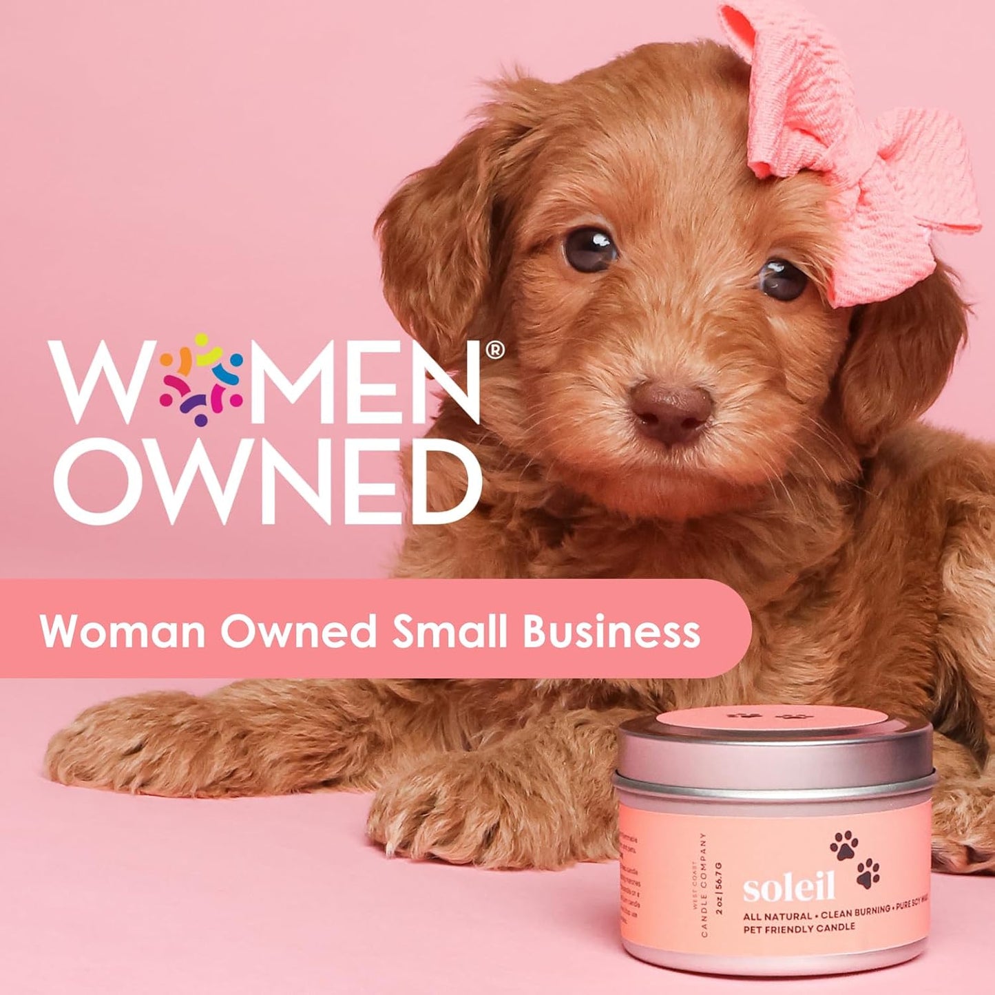 Sandy Paws | Pet Safe Wax Melts | All Natural Soy | Non-Toxic | Dog Friendly | Vet Approved | Long Lasting Home Fragrance | Pet Odor Eliminator | Clean Burning Wax Cubes | Safe Air Freshener