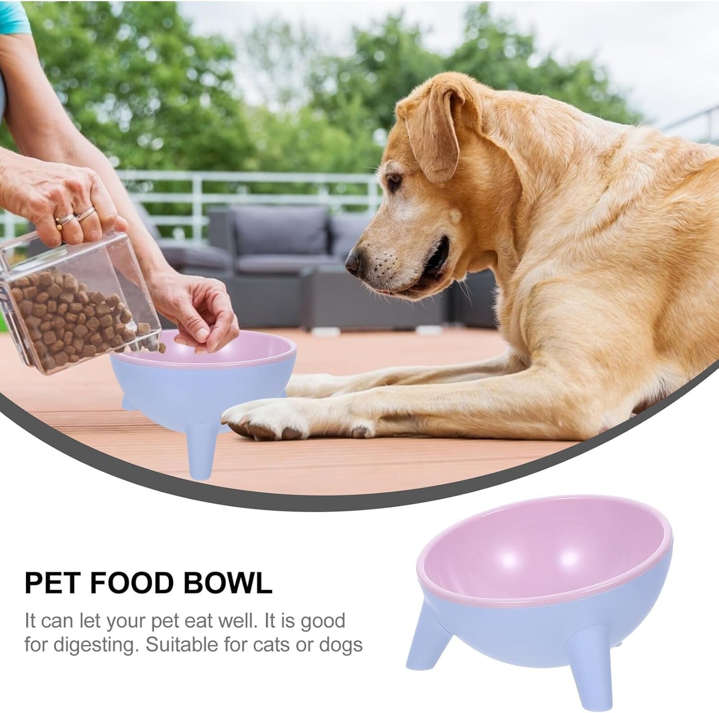 Milisten Stable Cat and Dog Feeding Bowl Set, 15° Tilted Raised Plastic Pet Water Feeder, Spill-Resistant Pink Dual Bowls for Cats and Small Dogs