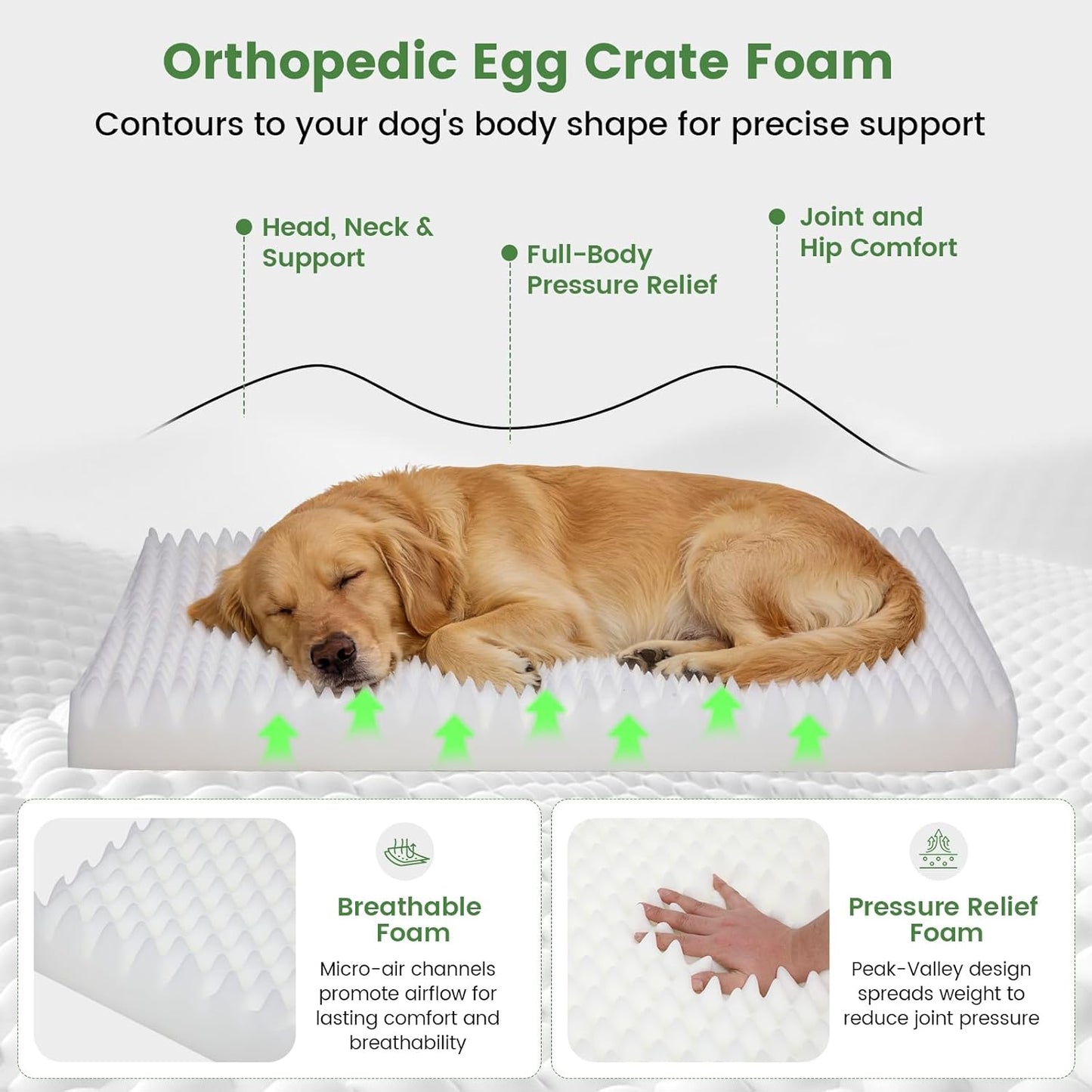 Orthopedic Dog Bed for Extra Large Dogs 44x30 Inches, 28D Egg Crate Foam Pet Bed with Non-Slip Bottom, Waterproof Dog Bed with Removable Washable Cover, Hair Removal Glove, and Chew Knot