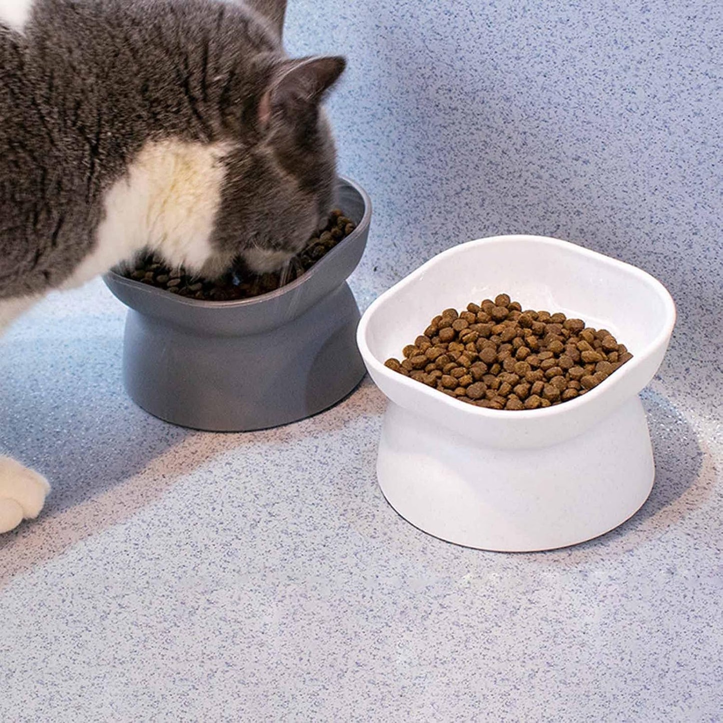 Cats Bowl Food Bowls Non Slip Dog Dish Pet Food Stress Relief Puppy Feeder Bowl with 10° Raised Stand Pet Feeding for for Dogs Elevated