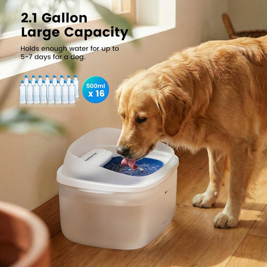 Gardner Pet Dog Water Fountain for Large Dogs, 8L/2.1Gal Large Capacity Automatic Dog Water Bowl Dispenser with Vortex Circulation, Splash-Proof, Quiet Dog Water Bowl(Without Adapter)
