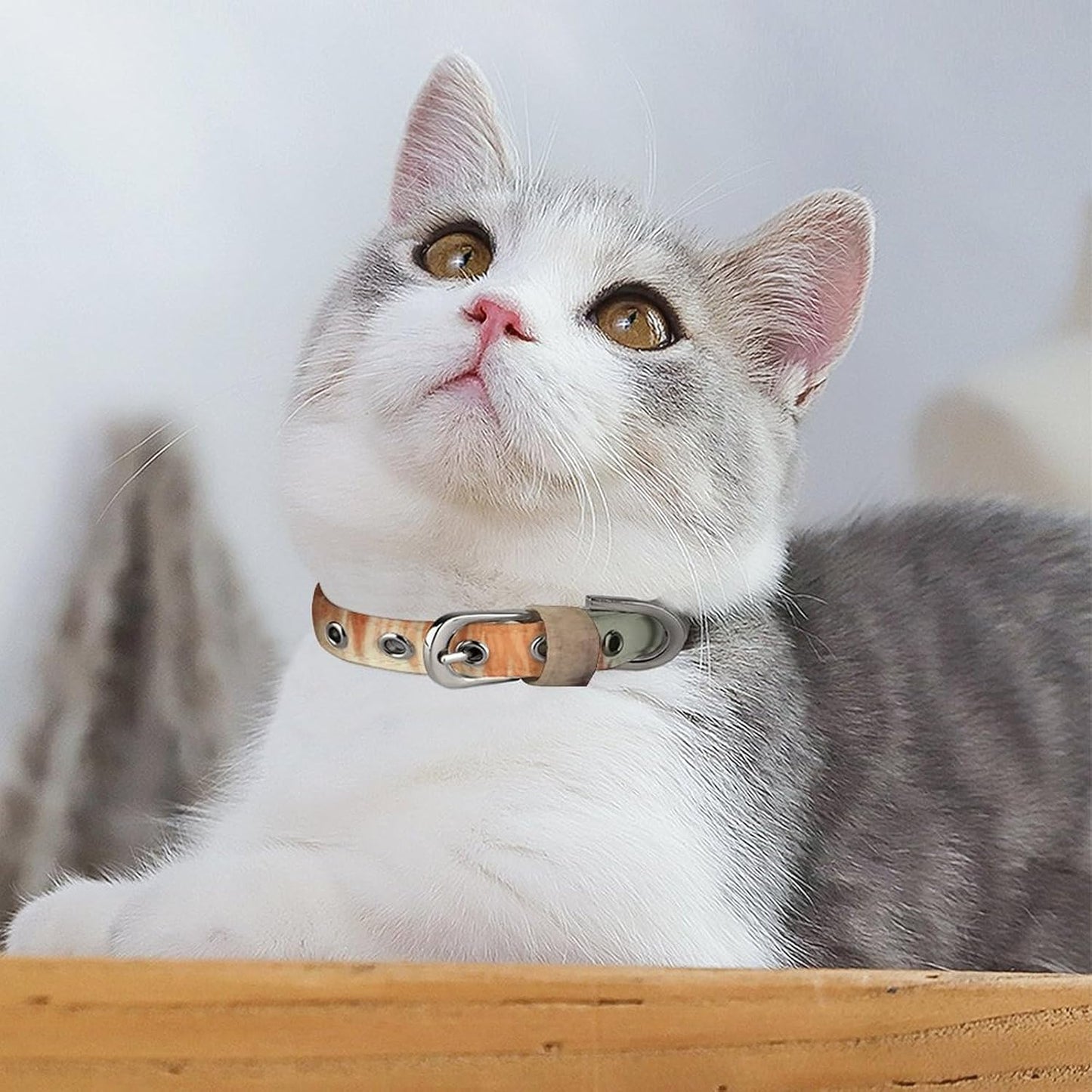 Fox in The Woods Dog Collar with Buckle Adjustable Martingale Pet Collars Cute Female Male Puppy Collar Soft Waterproof Cat Collars for Small Medium Dogs