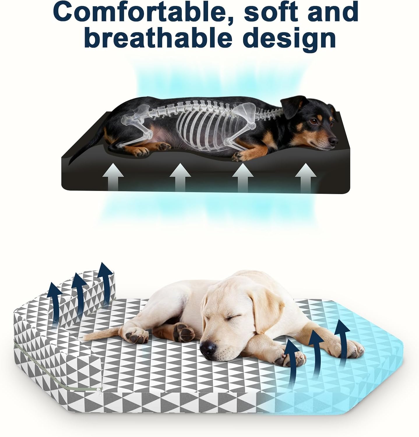 Orthopedic Dog Beds forMedium Dogs, Pet Bed with Sides,Removable Bolsters & cleanable Cover，M