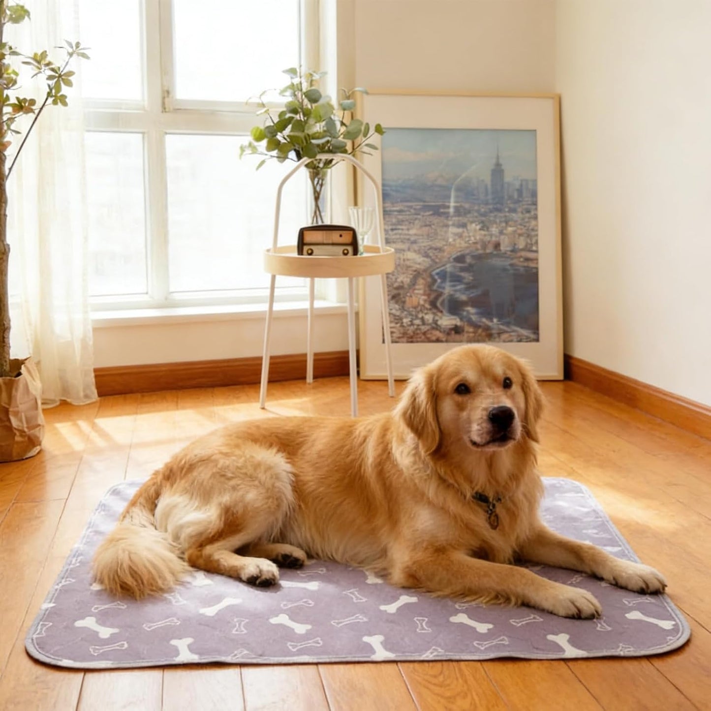 Puppy Pads with Pheromones, Pee Pads for Dogs, Washable Pee Pads for Puppy Training, Dog Pee Pads for Indoor Use, Grey Base Pet Training Mat (S: 15.7" × 23.6")