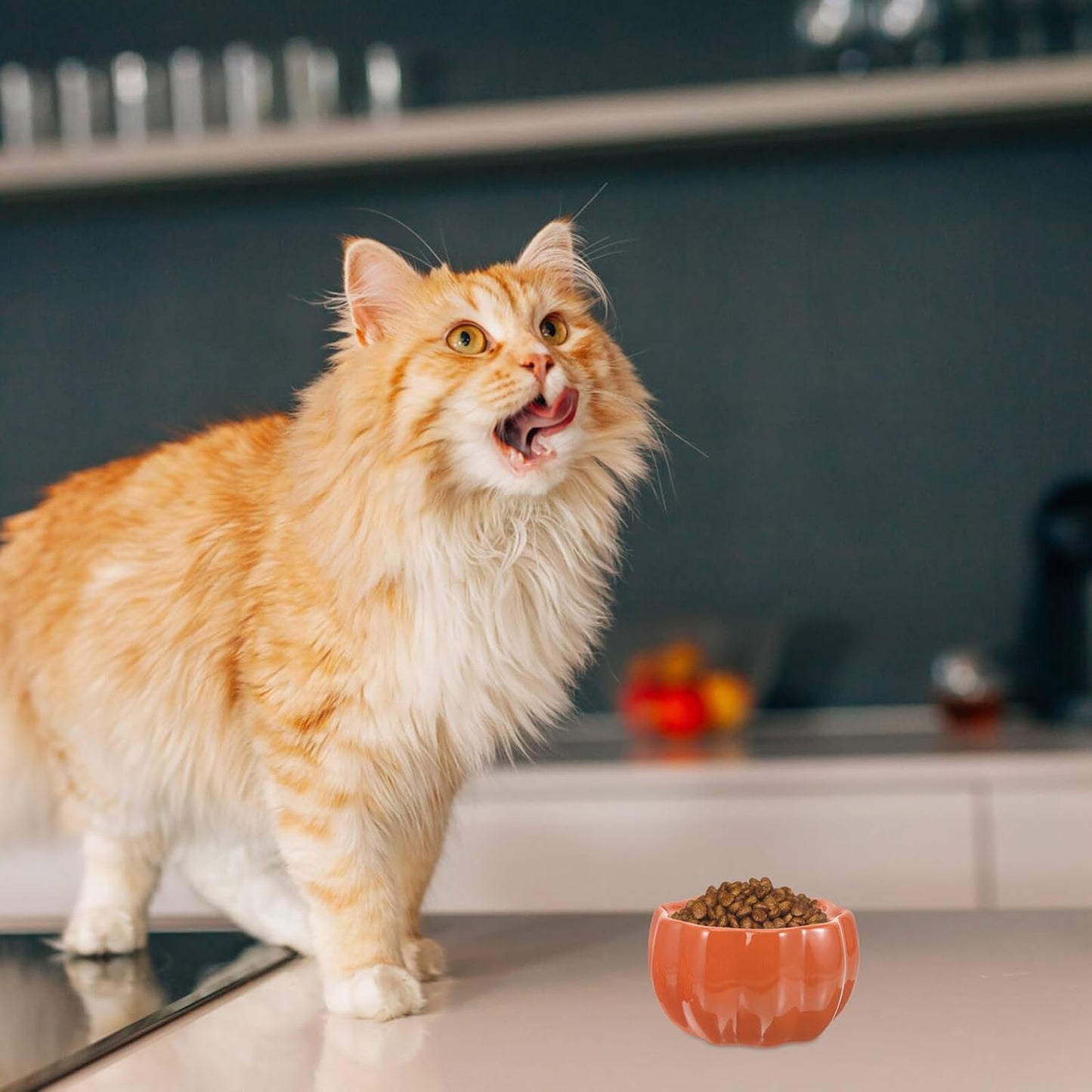 FAVOMOTO Ceramic Cat Bowl and Dog Food Bowl Raised Pet Feeding Dish with Neck Protection Pumpkin Orange for Cats and Puppies