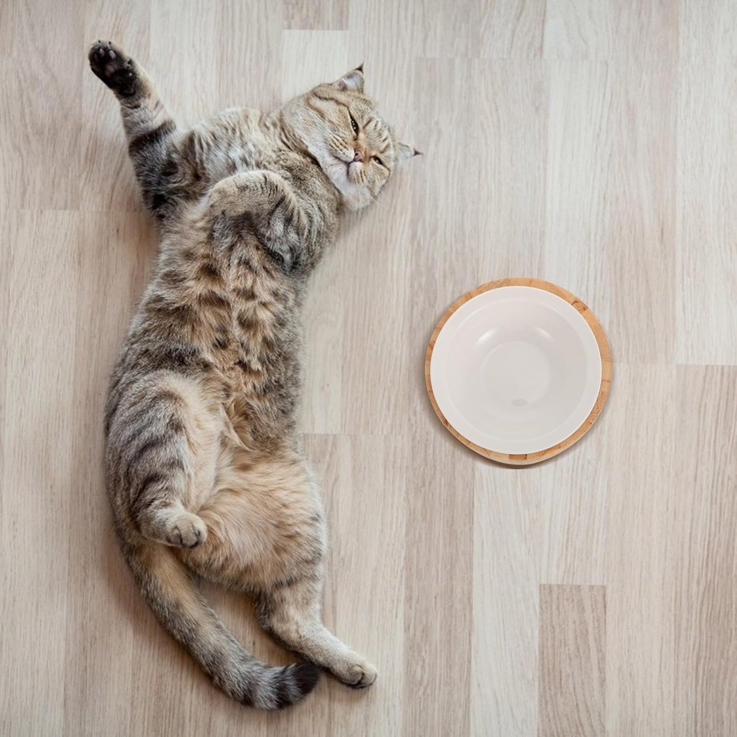 Milisten Elevated Ceramic Kitten Bowl with Wooden Stand, Raised Cat Food Dish for Spine Protection, Anti-tip Pet Feeder for Indoor Cats and Kittens