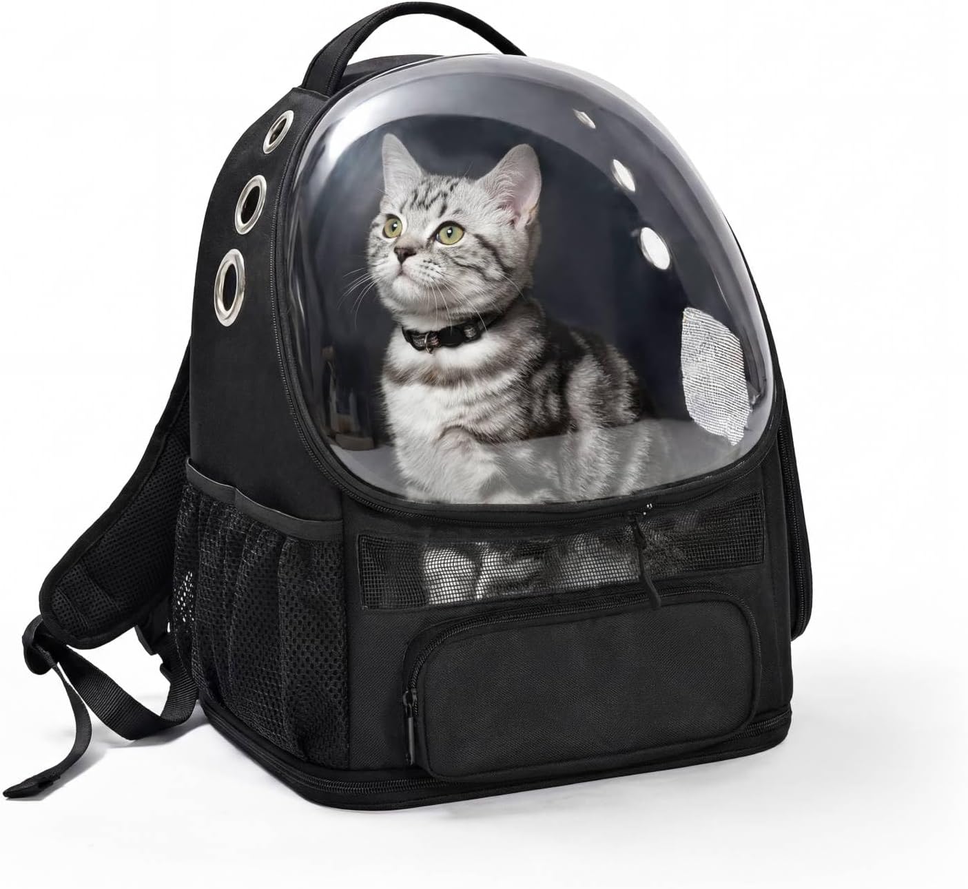 Amazon Basics Pet Carrier Backpack for Small Cats & Dogs, Collapsible Travel Carrier with Bubble Window & Breathable Mesh, Foldable for Travel, Black