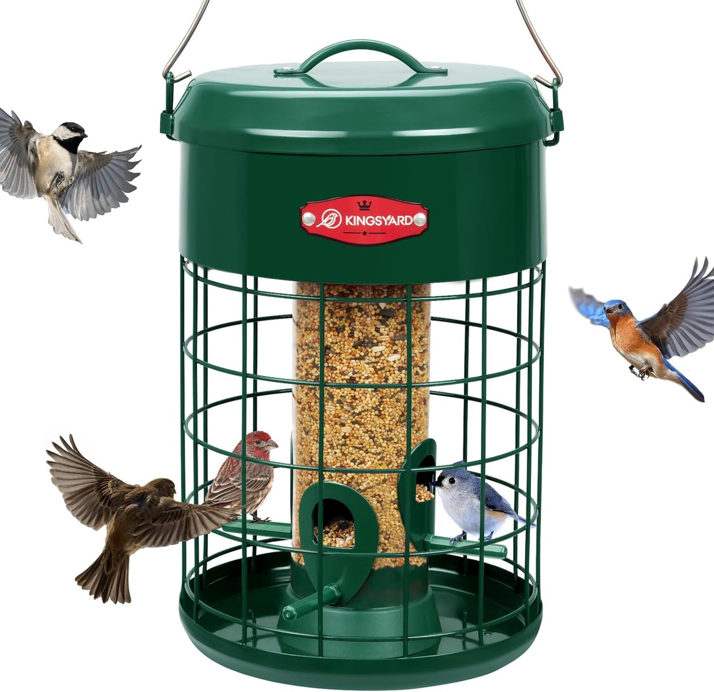 Kingsyard Upgraded Squirrel Proof Caged Bird Feeder for Outdoor Hanging - Additional Storage Tube Bird Feeder with 4 Feeding Ports & Perches, Easy to Clean & Refill. Green