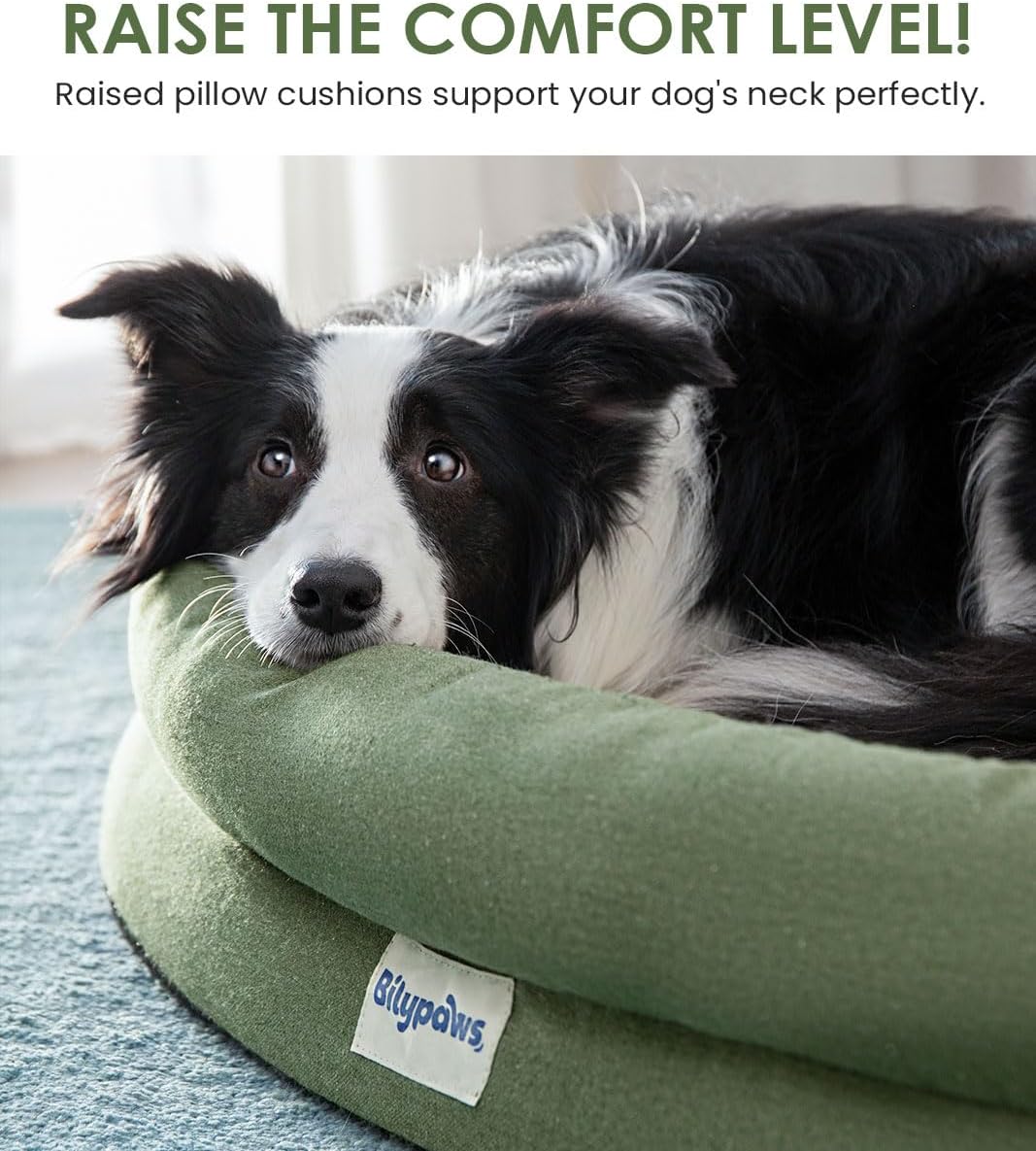 Orthopedic Dog Bed for Small Dogs, Pet Sofa Bed with Egg Crate Foam, 4-Sided Bolster, Removable Washable Cover & Anti-Slip Bottom, Small Calliste Green