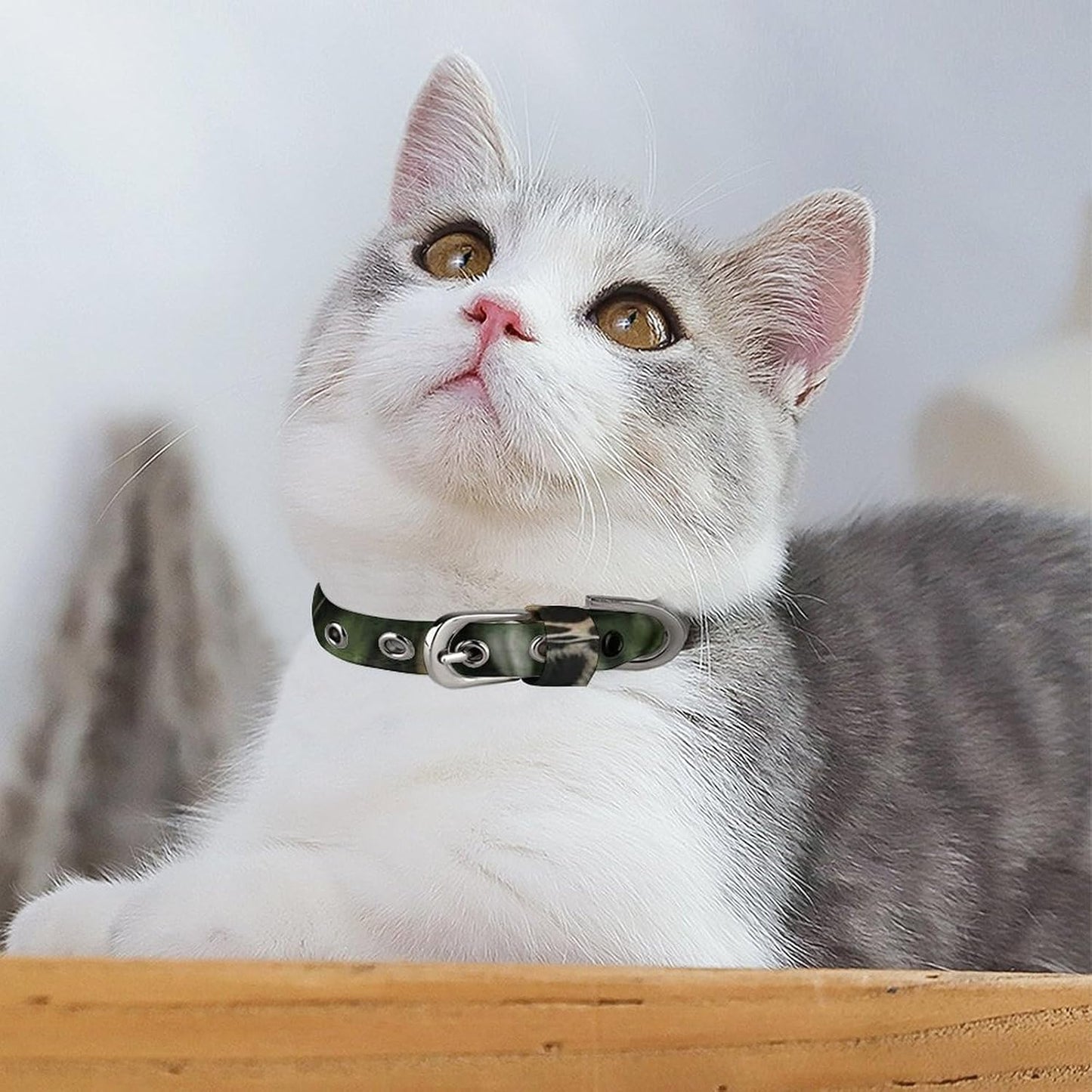 Jaguar Cat on Tree Trunk Waterfall Dog Collar with Buckle Adjustable Martingale Pet Collars Cute Female Male Puppy Collar Soft Waterproof Cat Collars for Small Medium Dogs