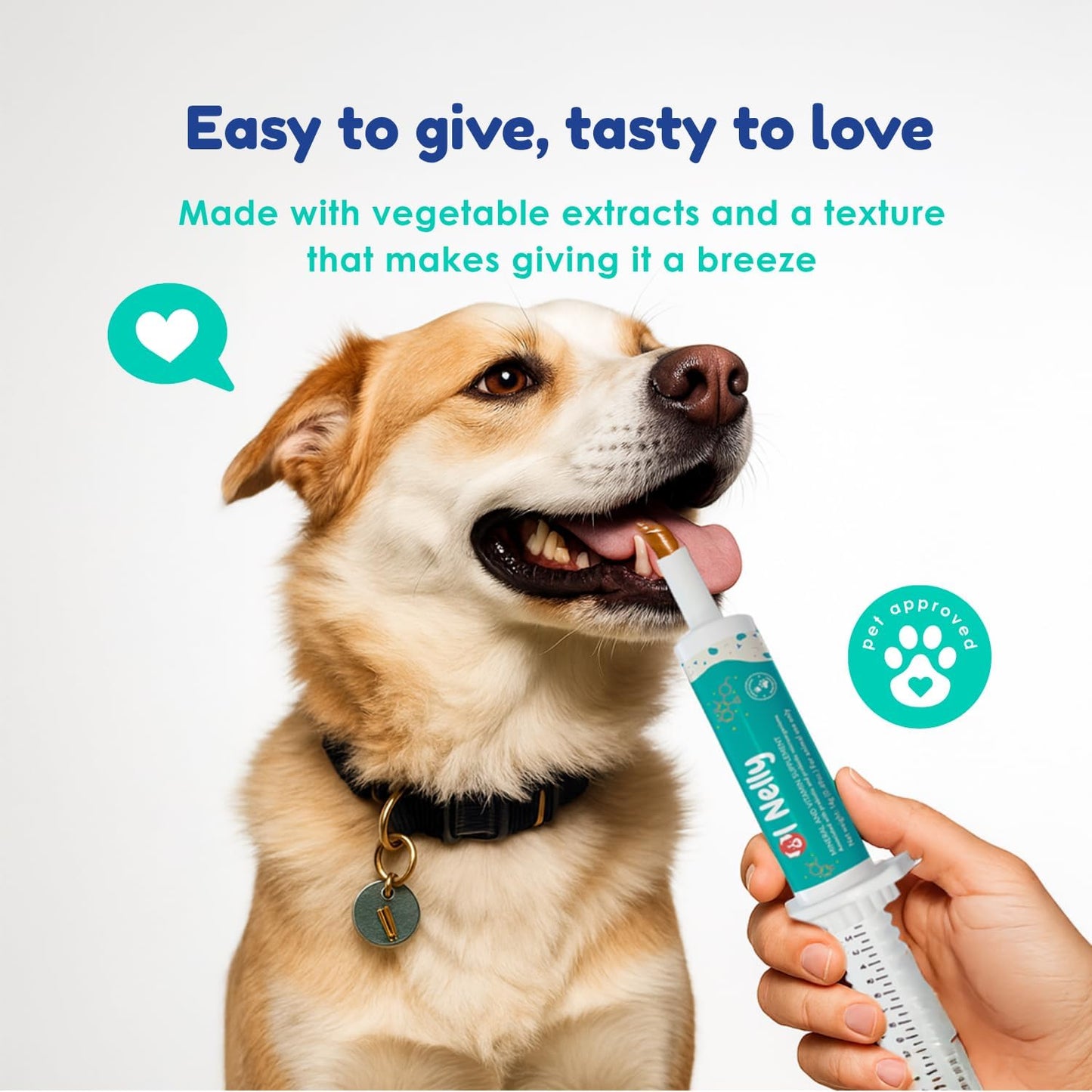OL’ NELLY Dog Probiotic Paste for Digestive Support & Sensitive Stomach | 6-Strain Probiotics, Up to 7.2 Billion CFU per Serving | Helps with Loose Stool & Digestive Upset | 14g