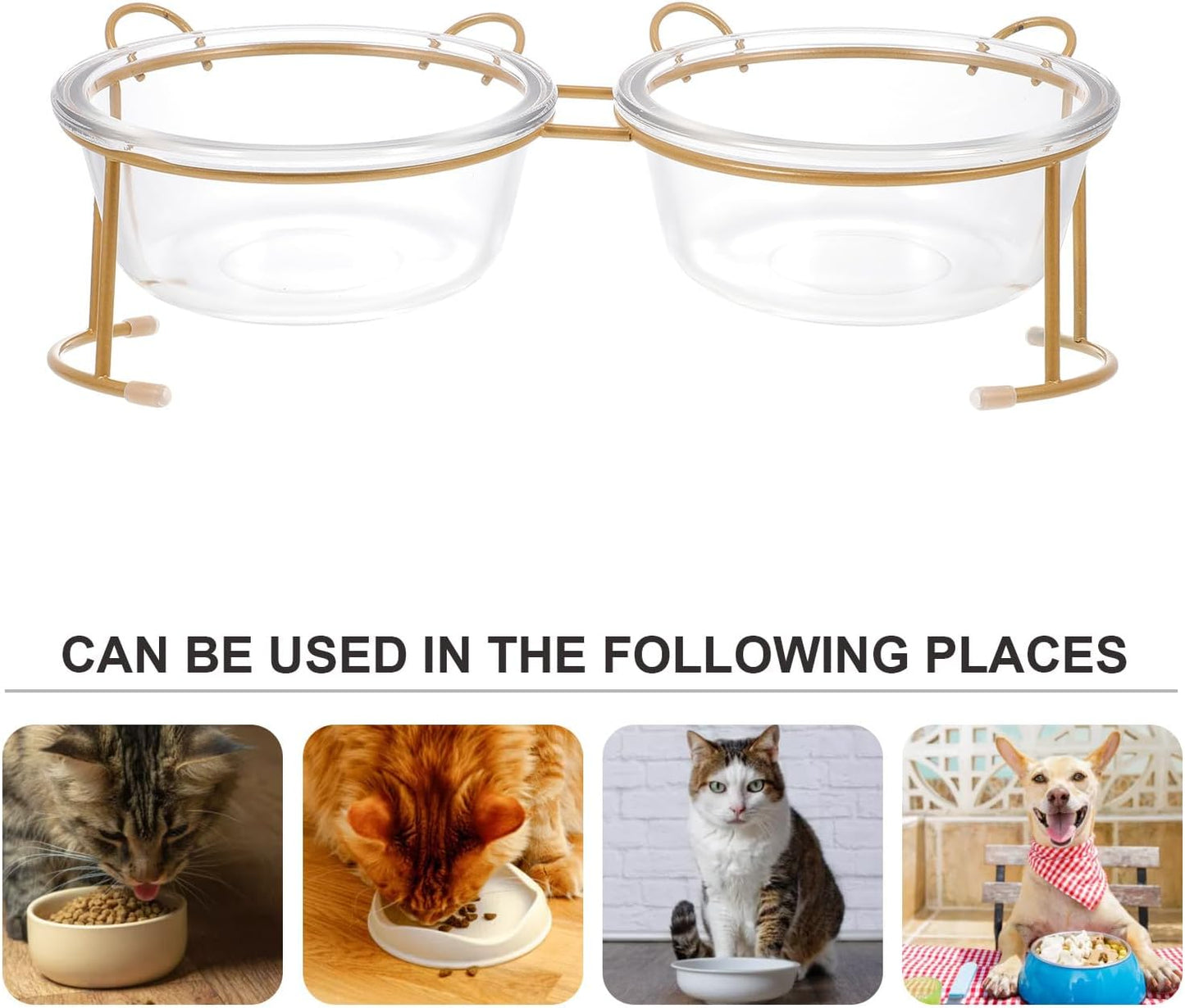 PRETYZOOM Glass Double Raised Cat Food Bowl with Bright Gold Stand, Household Glass Dog Bowl for Pets, Elevated Pet Feeding Station for Cats and Dogs