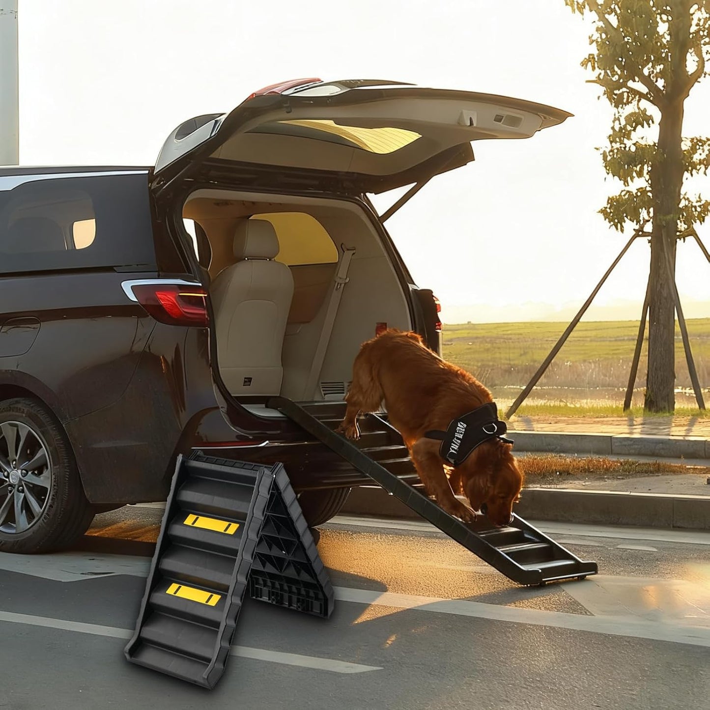 Foldable Dog Ramp for SUVs & Trucks – 61" L x 16" W Non-Slip Surface, Supports 165 lbs, Portable Pet Ramp for Medium & Large Dogs – Lightweight, Easy Storage, Great for Travel