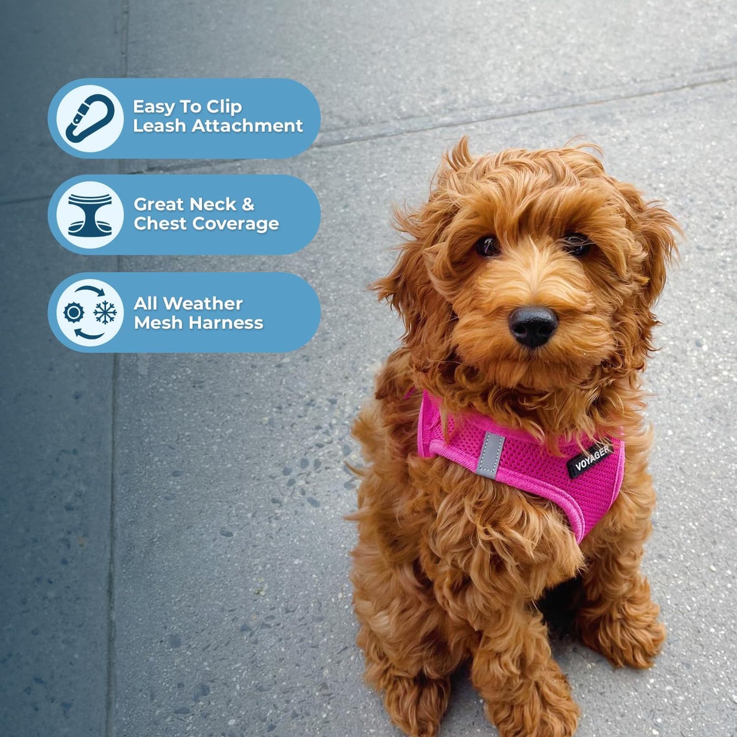 Best Pet Supplies Voyager Step-in Air All Weather Mesh Harness and Reflective Dog 5ft Leash Combo with Neoprene Handle, for Small, Medium and Large Breed Puppies - Set (Fuchsia), Large