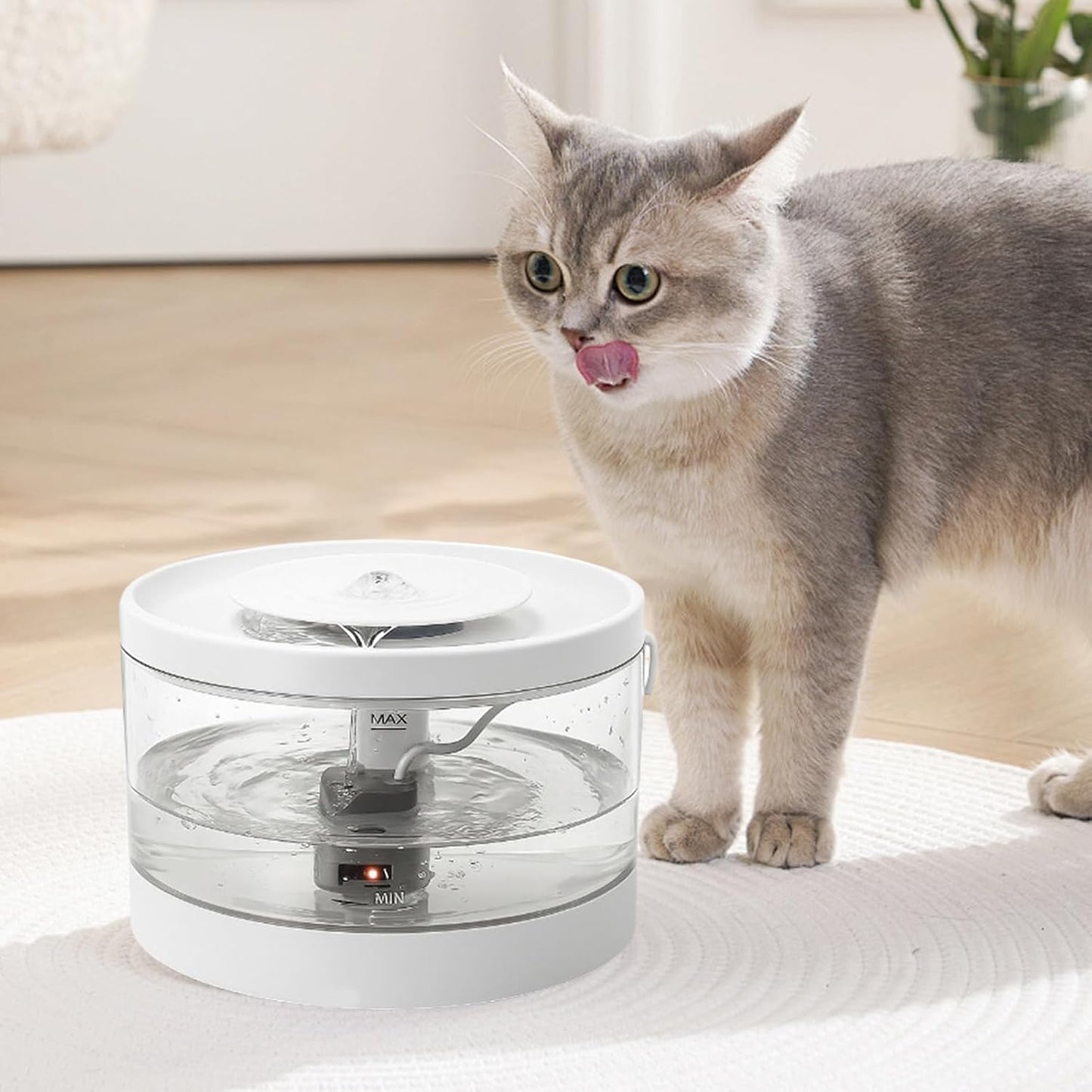 Pet Water Fountain | Smart Quiet Filtered Cat Drinker | Kitten Automatic Waterer | for Pets Dogs Puppy Kitten Indoor Home Living Room Floor Corner