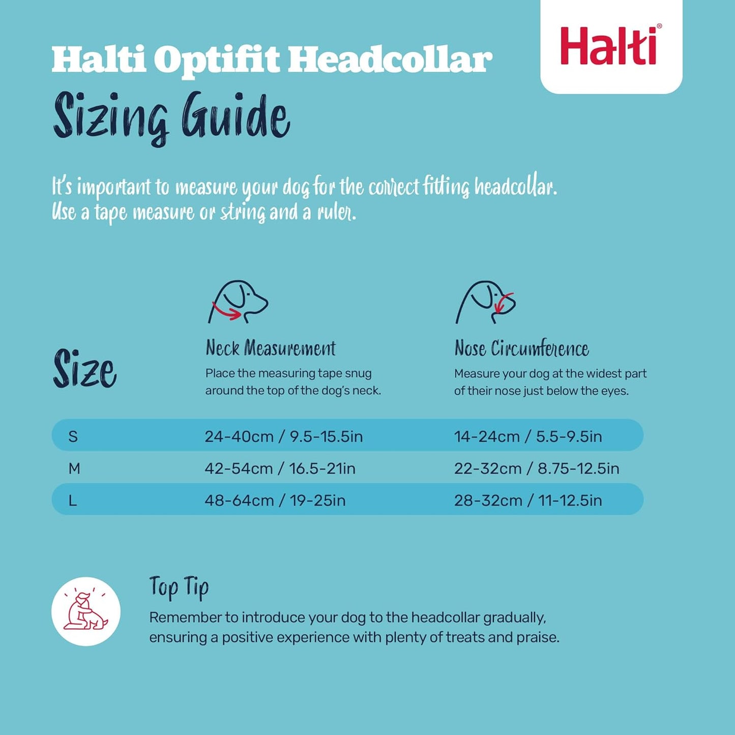 Halti Optifit Headcollar - Stop Your Dog Pulling on the Leash. Adjustable, Reflective and Lightweight, with Padded Nose Band. Dog Training Anti-Pull Collar for Medium Dogs (Size Medium)