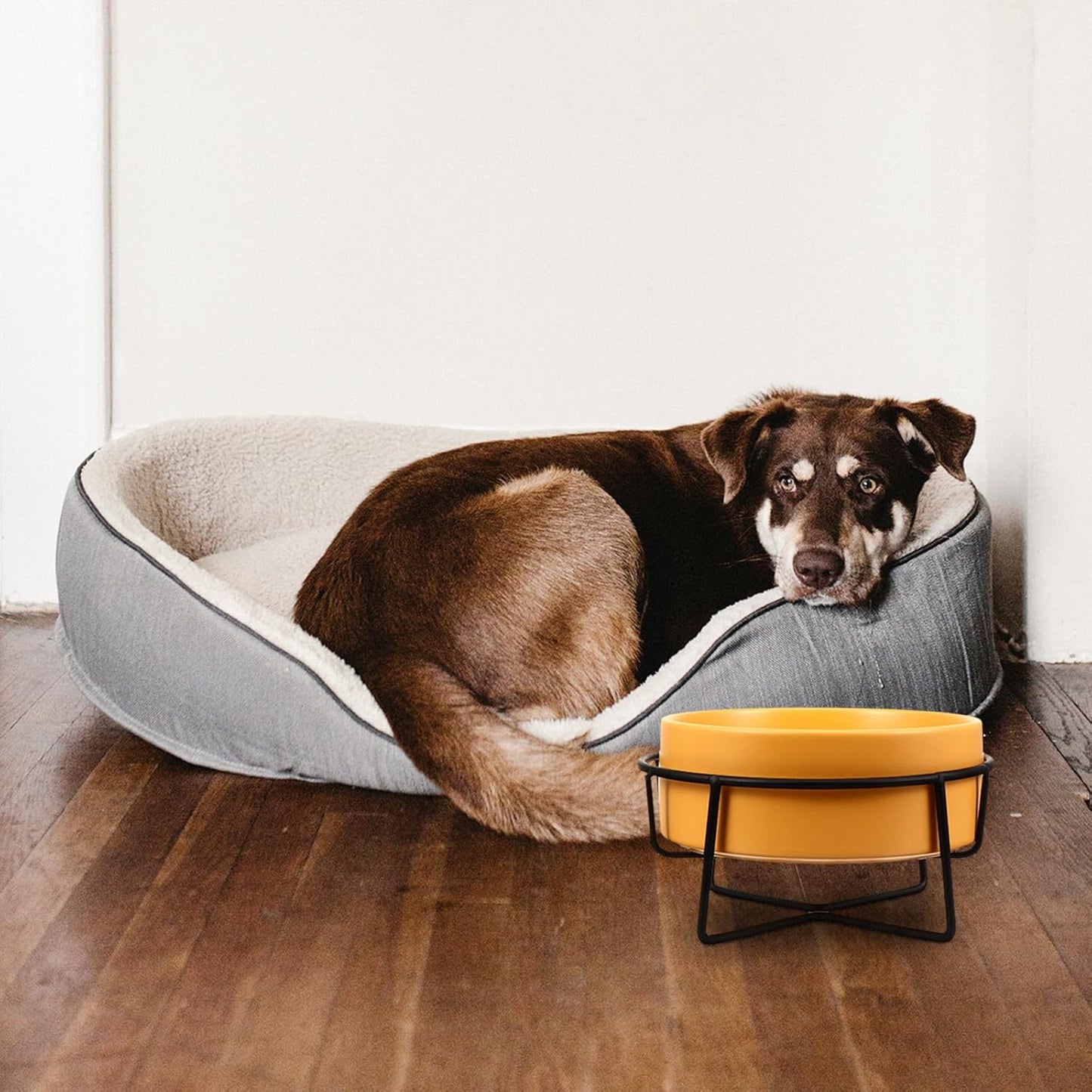 Milisten Ceramic Dog Bowl and Cat Bowl with Raised Black Iron Stand 14cm Protective Spine for Food and Water Yellow Pet Feeding Dish for Dogs and Cats
