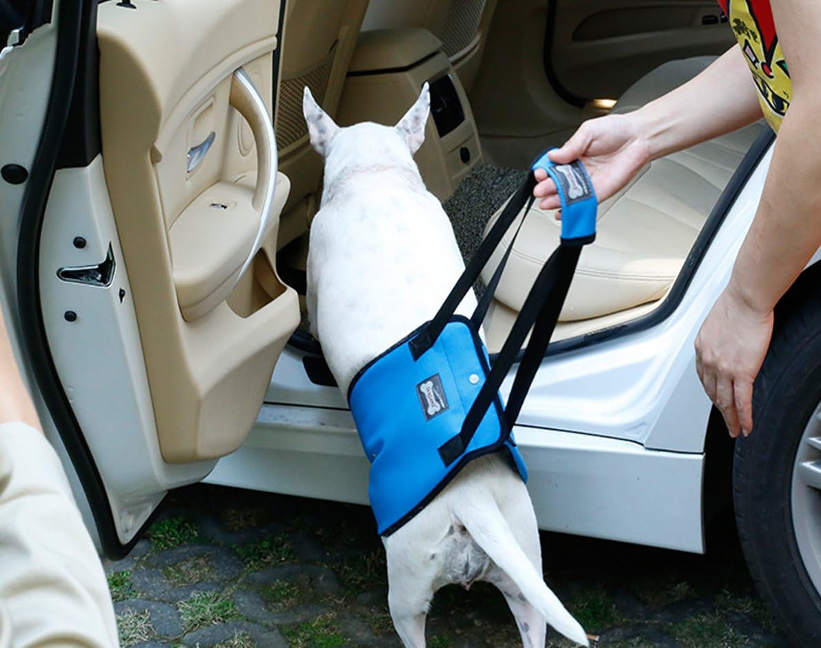 Dog Lift Support Harness With Handle for Older or Injured Canines - Adjustable Strap for Weak Hind Legs - Mobility Aid Back Sling