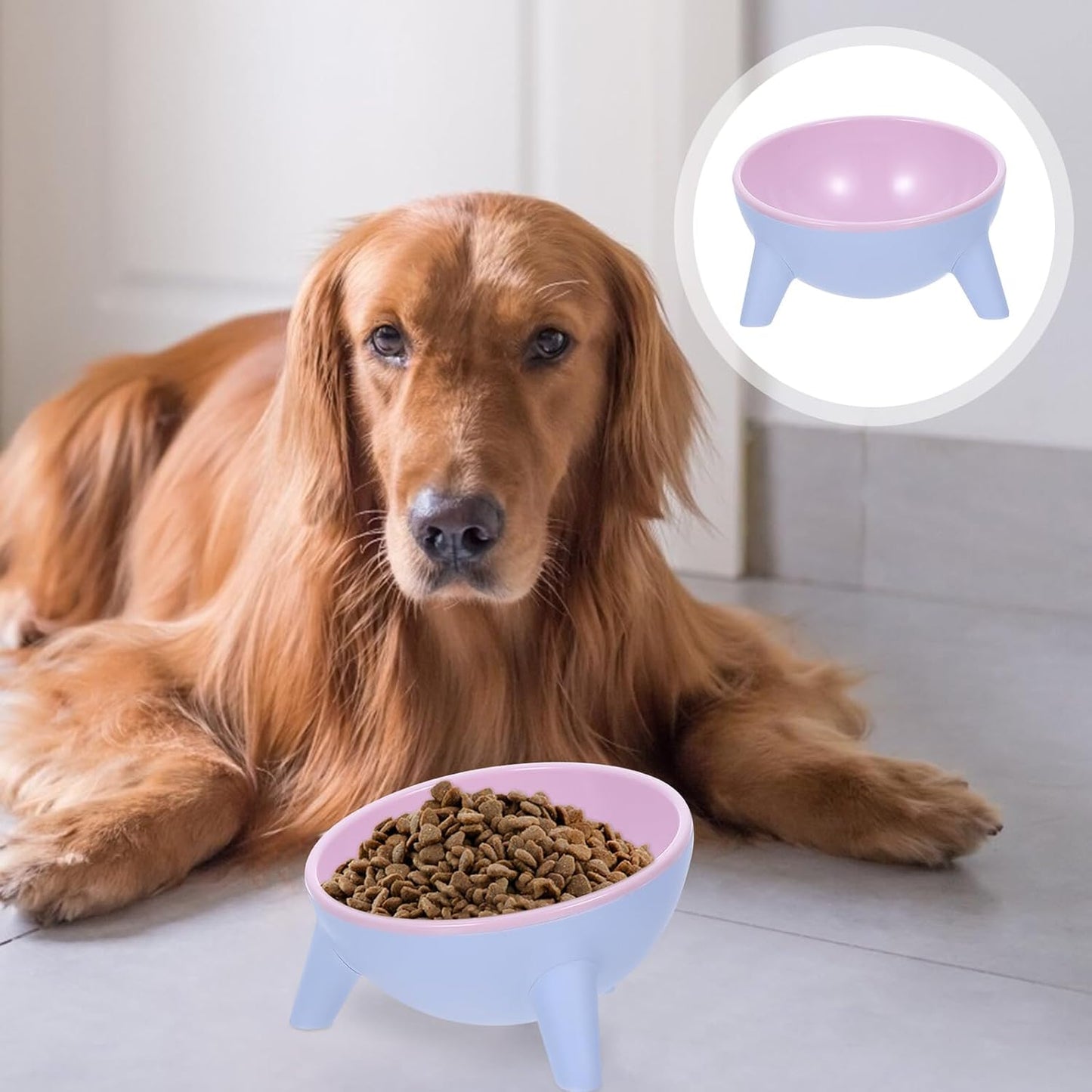 Milisten Stable Cat and Dog Feeding Bowl Set, 15° Tilted Raised Plastic Pet Water Feeder, Spill-Resistant Pink Dual Bowls for Cats and Small Dogs