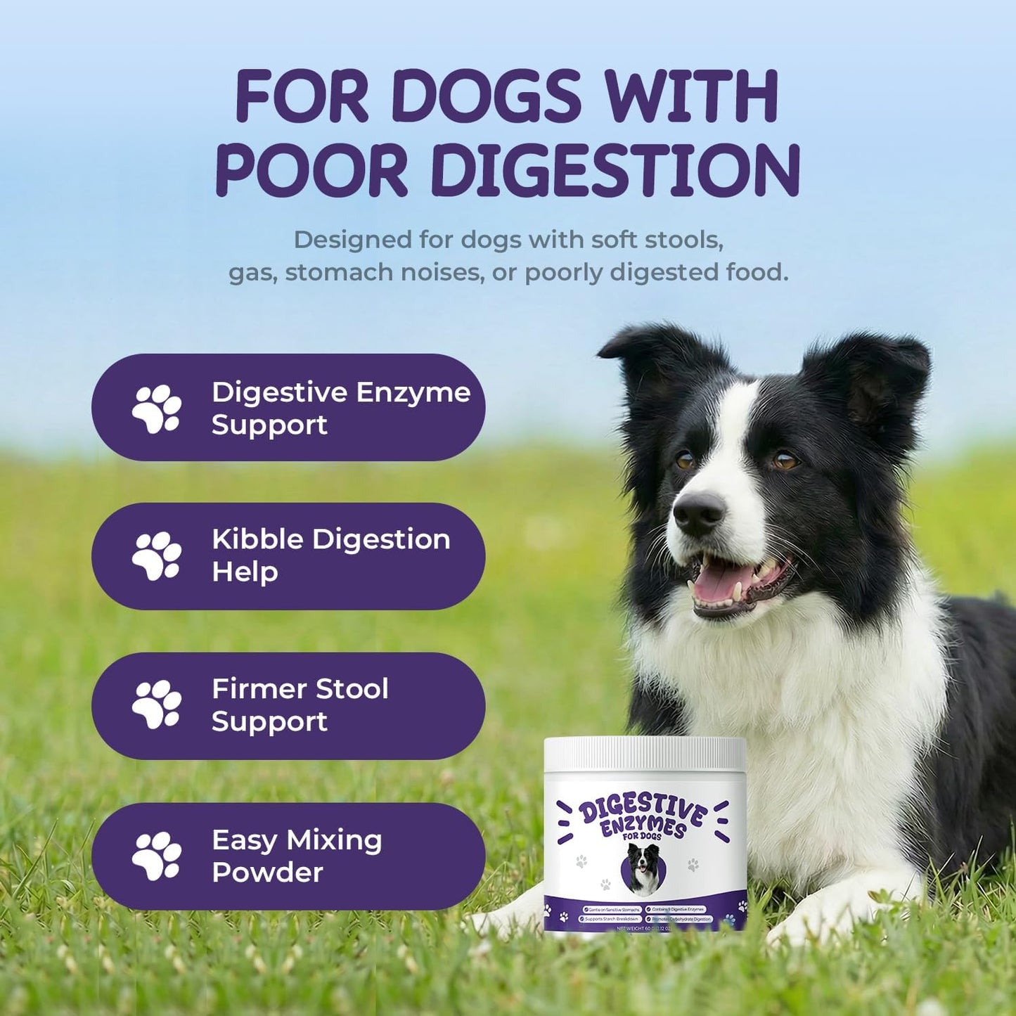 Digestive Enzymes for Dogs, Pancreatic Enzyme Blend to Support Kibble Digestion, Nutrient Absorption & Stool Consistency – Daily Powder for Sensitive Stomachs, 60 g