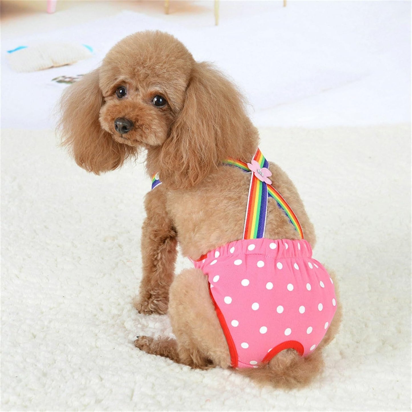 Dog Diaper Shorts Sanitary Pantie Female Dogs Adjust Suspender Diaper Panties Period Briefs Physiological Shorts Supply for Female Pet