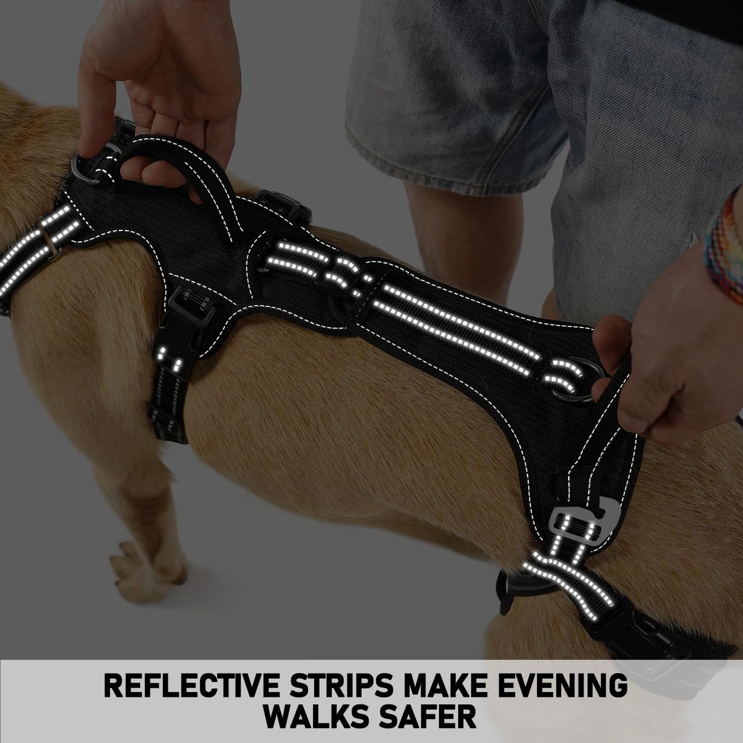 COODEO Mobility Dog Lift Harness, Support Sling & Walking Sling for Dogs, Pet Rear Leg Rehabilitation Support Vest, Dog Carrier for Senior Dogs with Joint Injuries, Arthritis, Up Stair (Black, M)