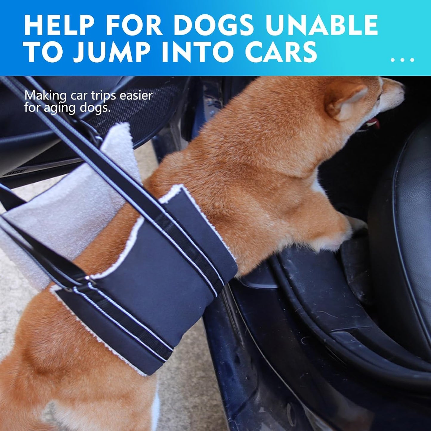 2 Pack Dog Adjustable Lift Harness Sling with Knee Brace for Weak Rear Legs Soft Hind Leg Support for Senior Injured, Disabled Dogs Set-Sling-M + Knee Brace-M with 2 Pack pet touthbrushes
