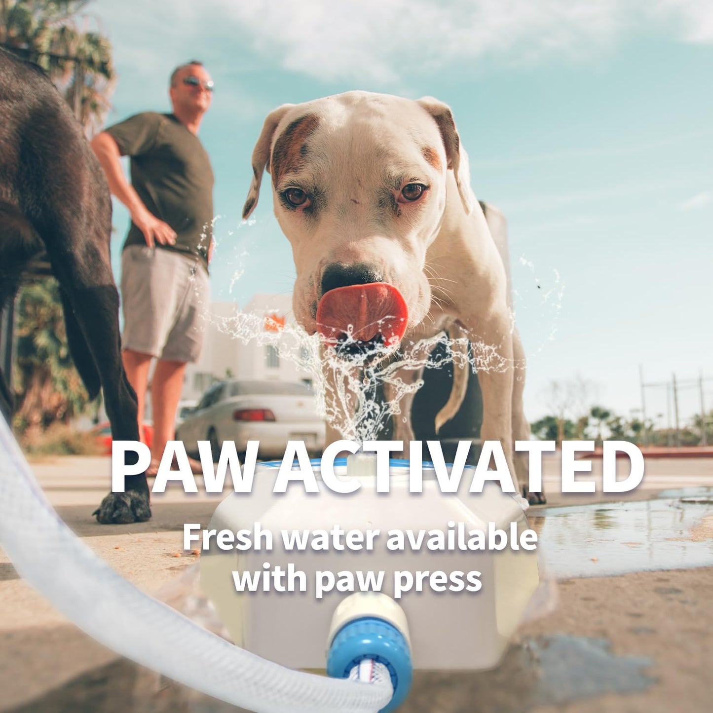 All For Paws Dog Water Fountain, Dog Sprinkler Paw Activated, Outdoor Water Fountain for Dog Drinking, Step On Pet Water Dispenser