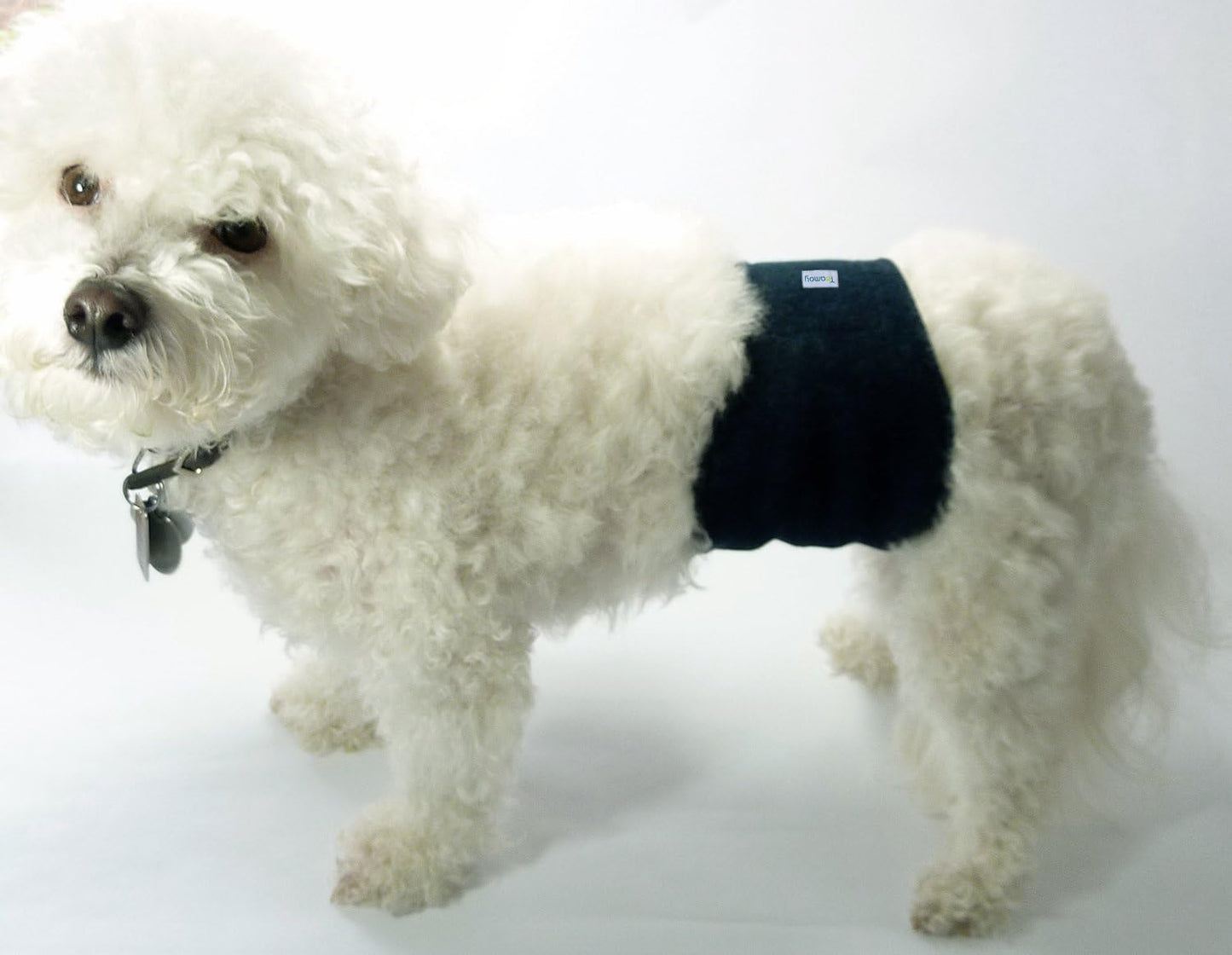 Teamoy Reusable Wrap Diapers for Male Dogs, Washable Puppy Belly Band Pack of 3 (M, 13"-16" Waist, Black+ Gray+ Lake Blue)