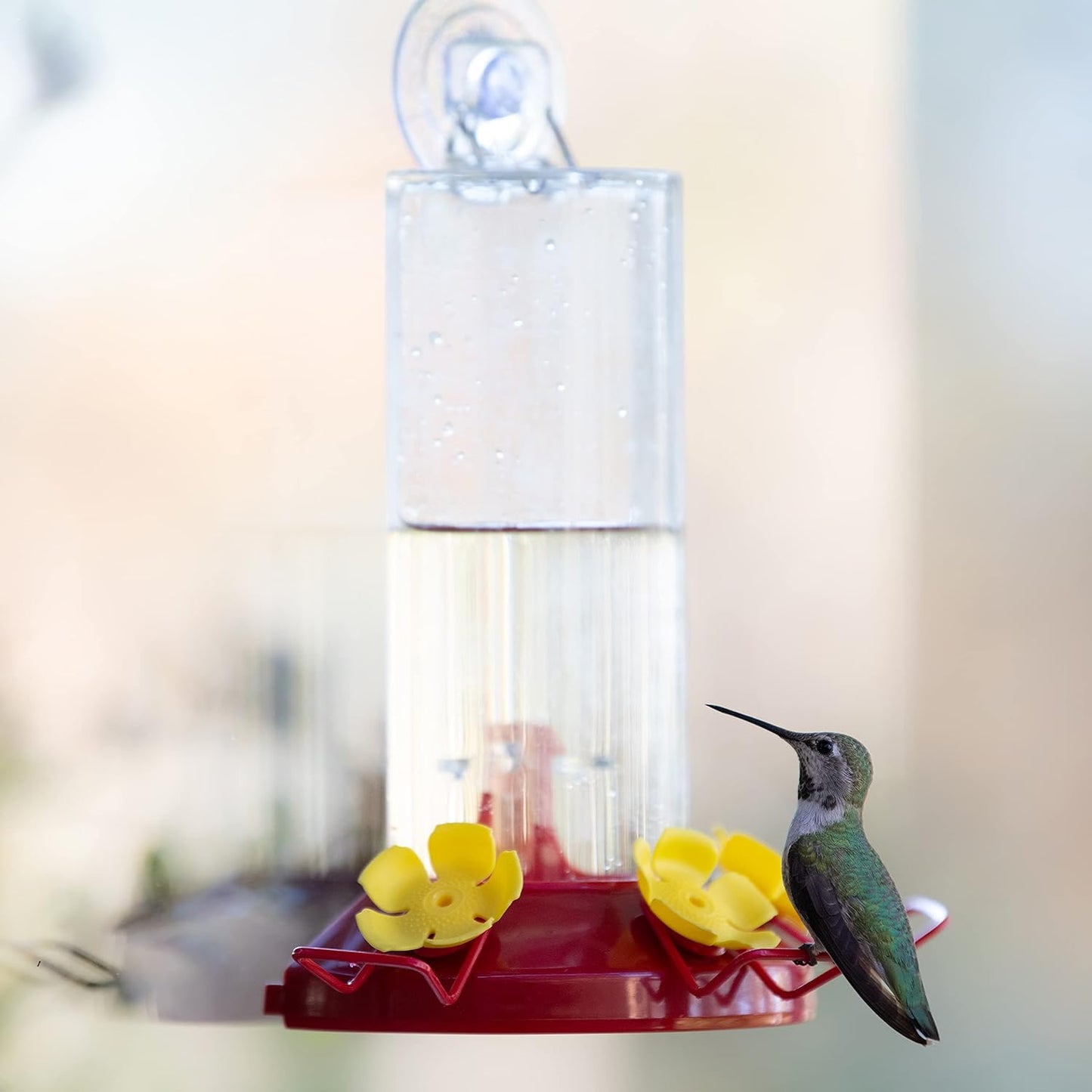 Perky-Pet Plastic Window Mount Hummingbird Feeder with Perches - 8 oz Hummingbird Nectar Capacity, 217 - Hummingbird feeders for outdoors